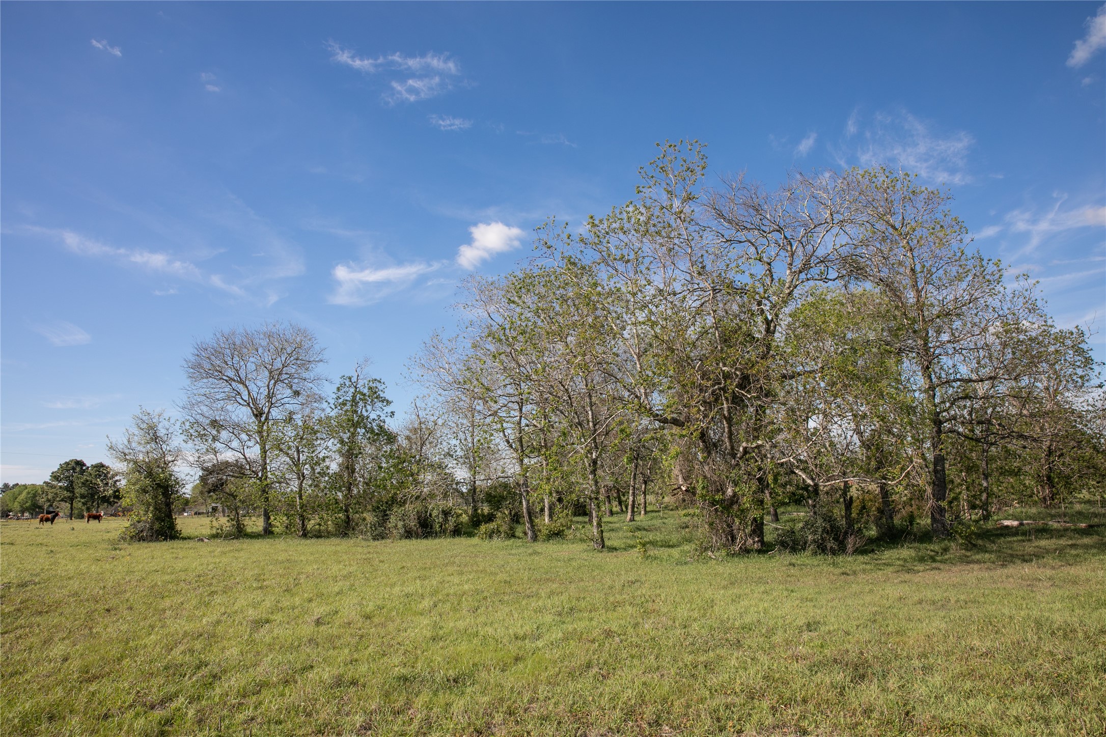 Tbd Trenckmann Road Property Photo
