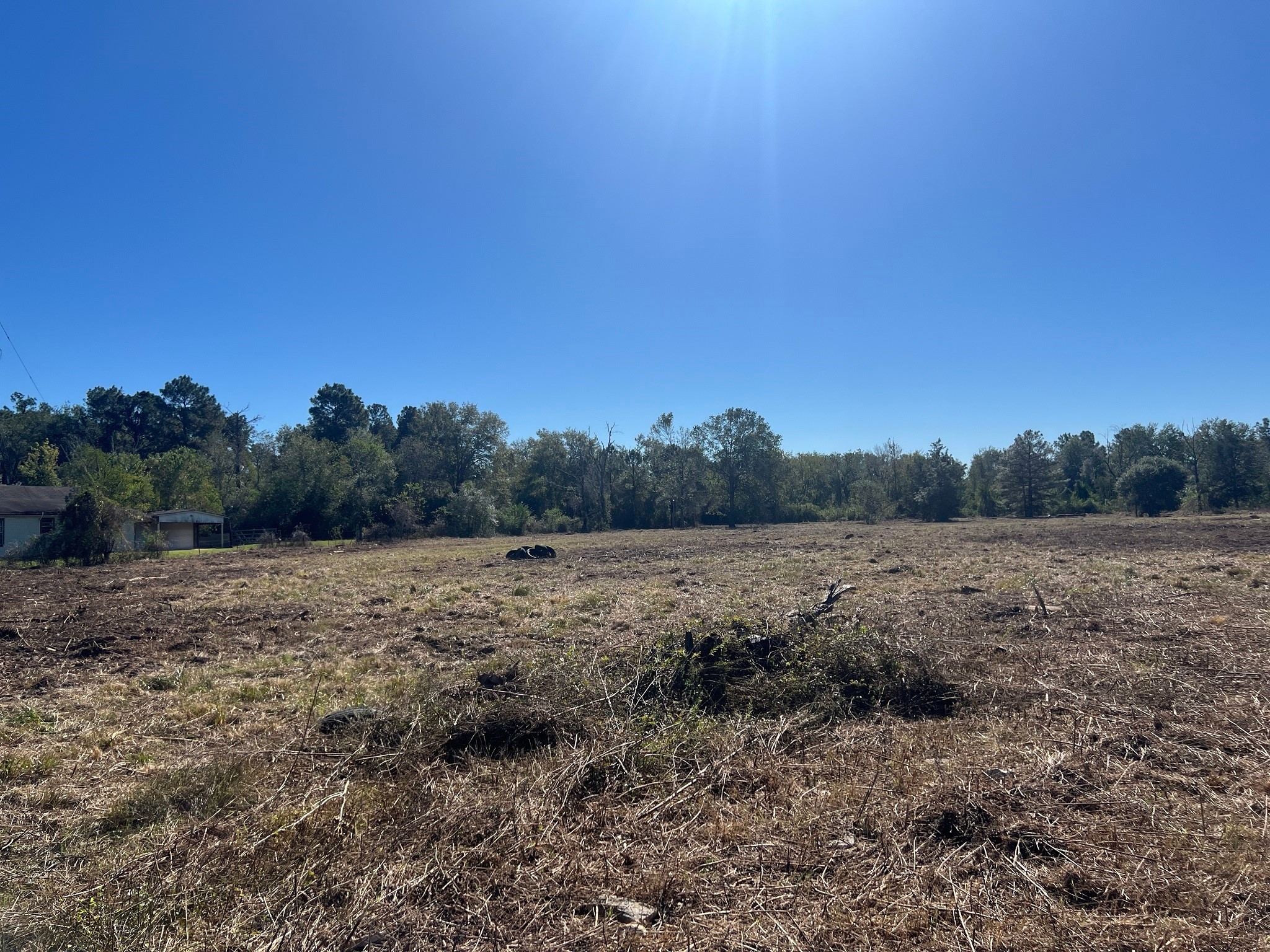 3607 12th Street Property Photo 6