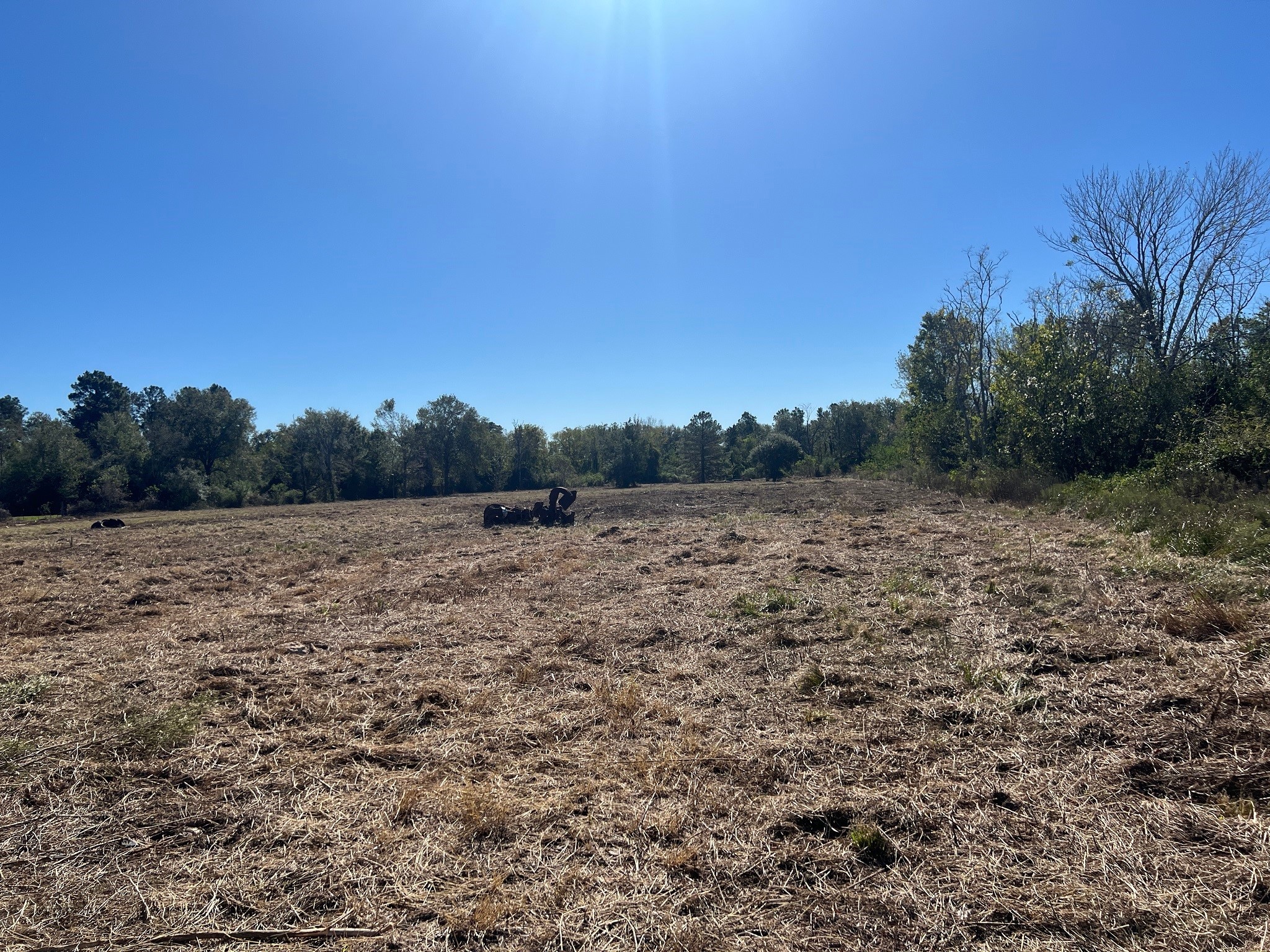3607 12th Street Property Photo 9