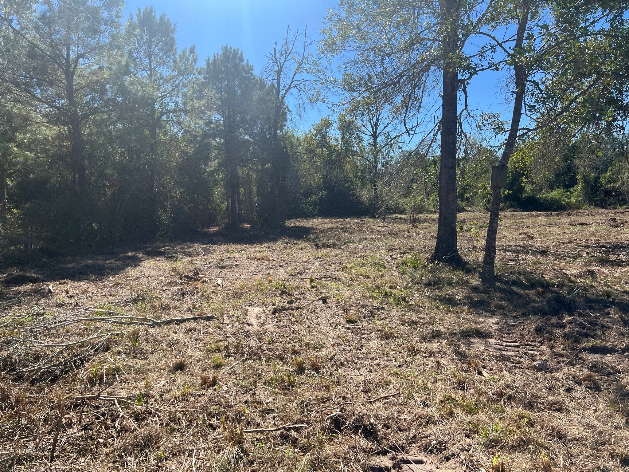 3607 12th Street Property Photo 13