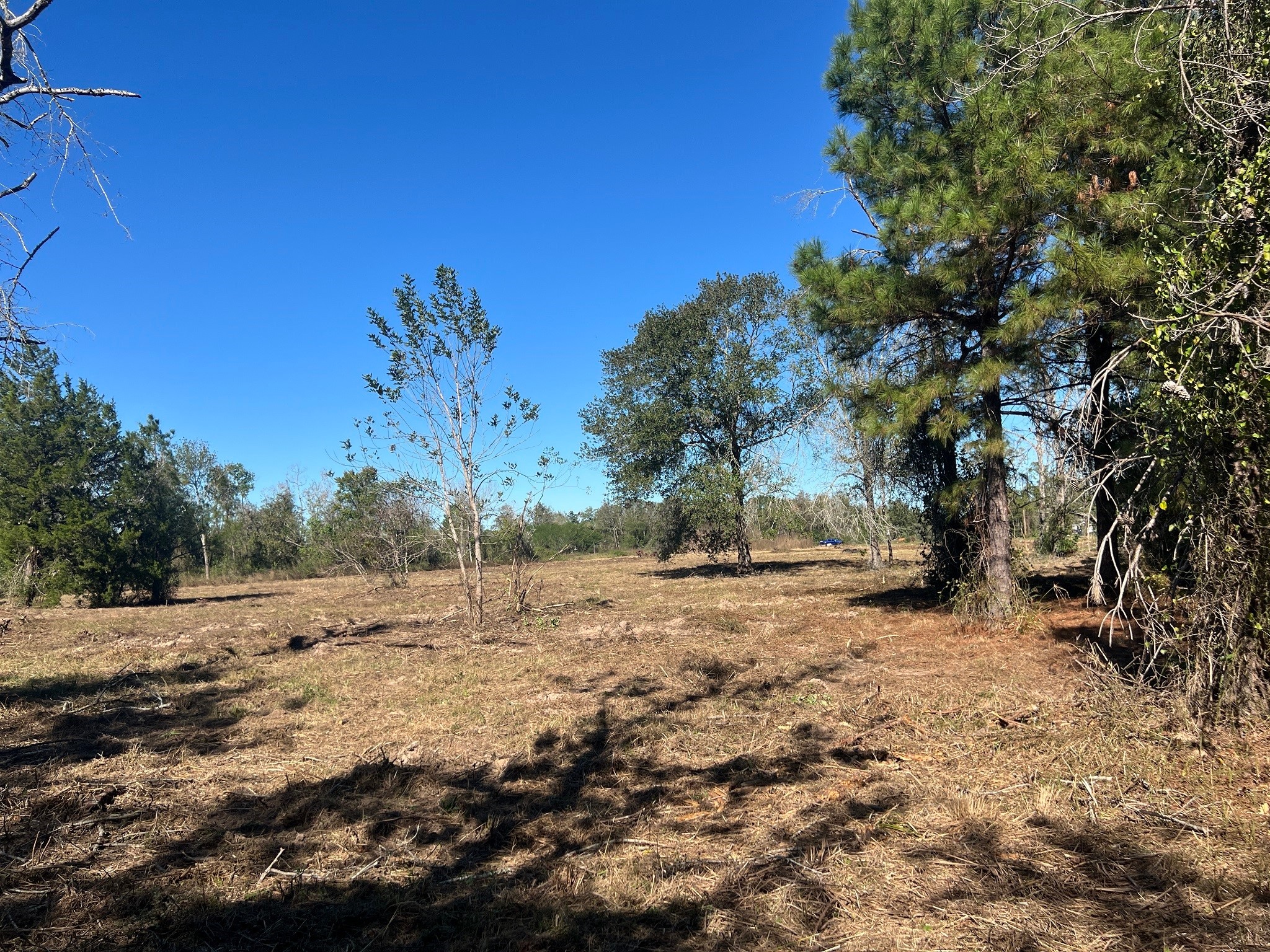 3607 12th Street Property Photo 14