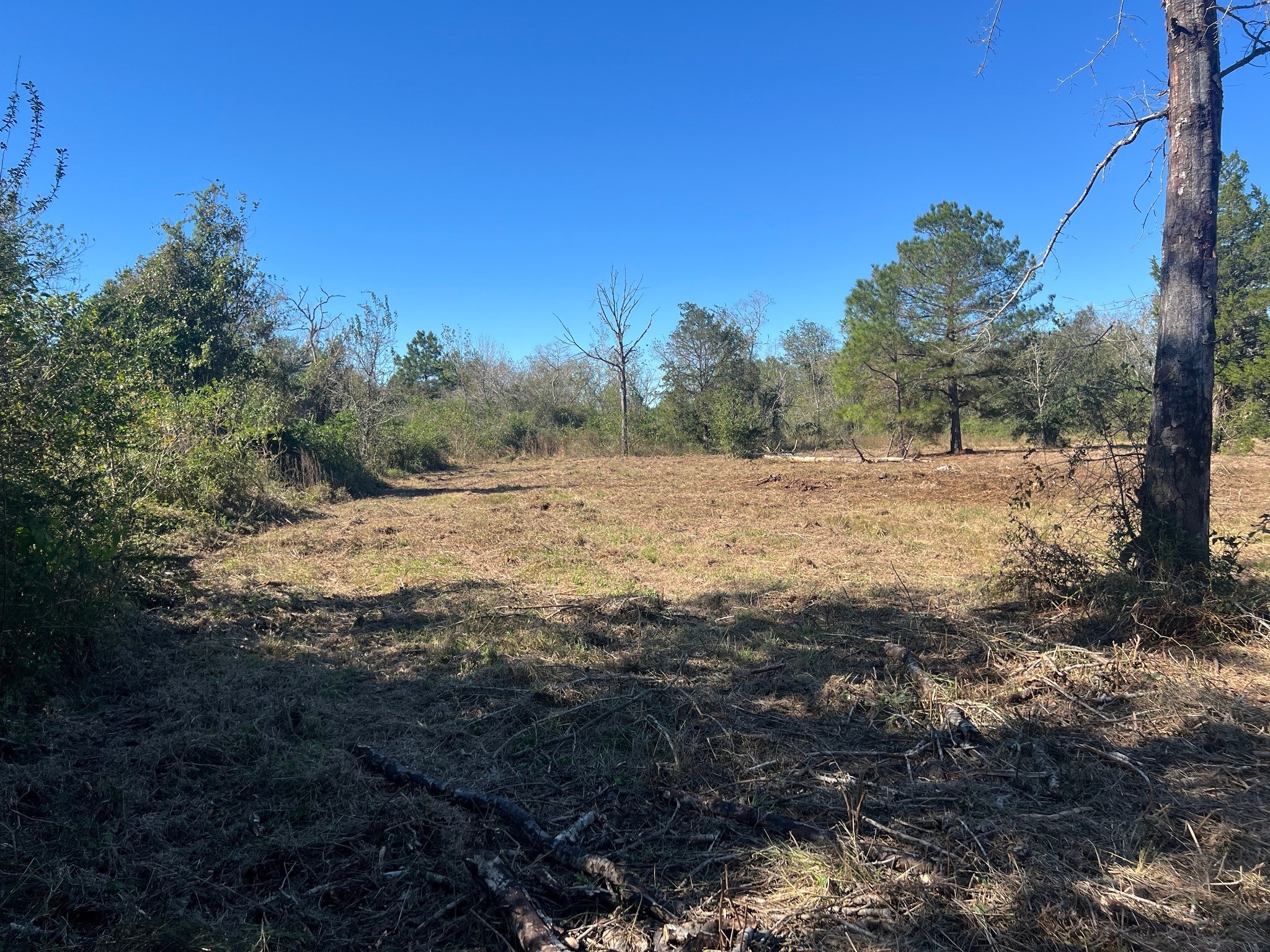 3607 12th Street Property Photo 15