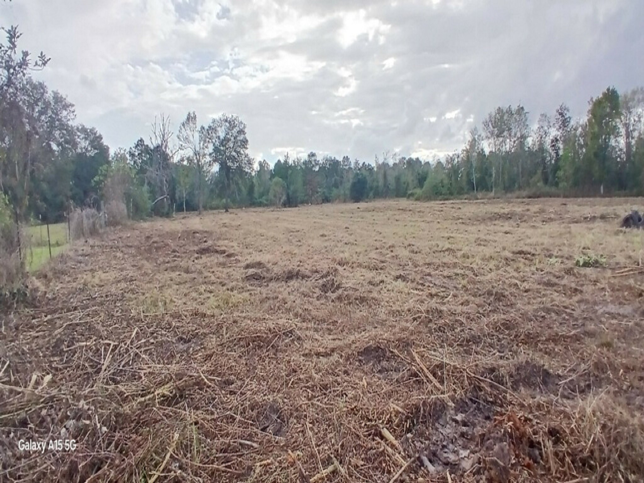 3607 12th Street Property Photo 26