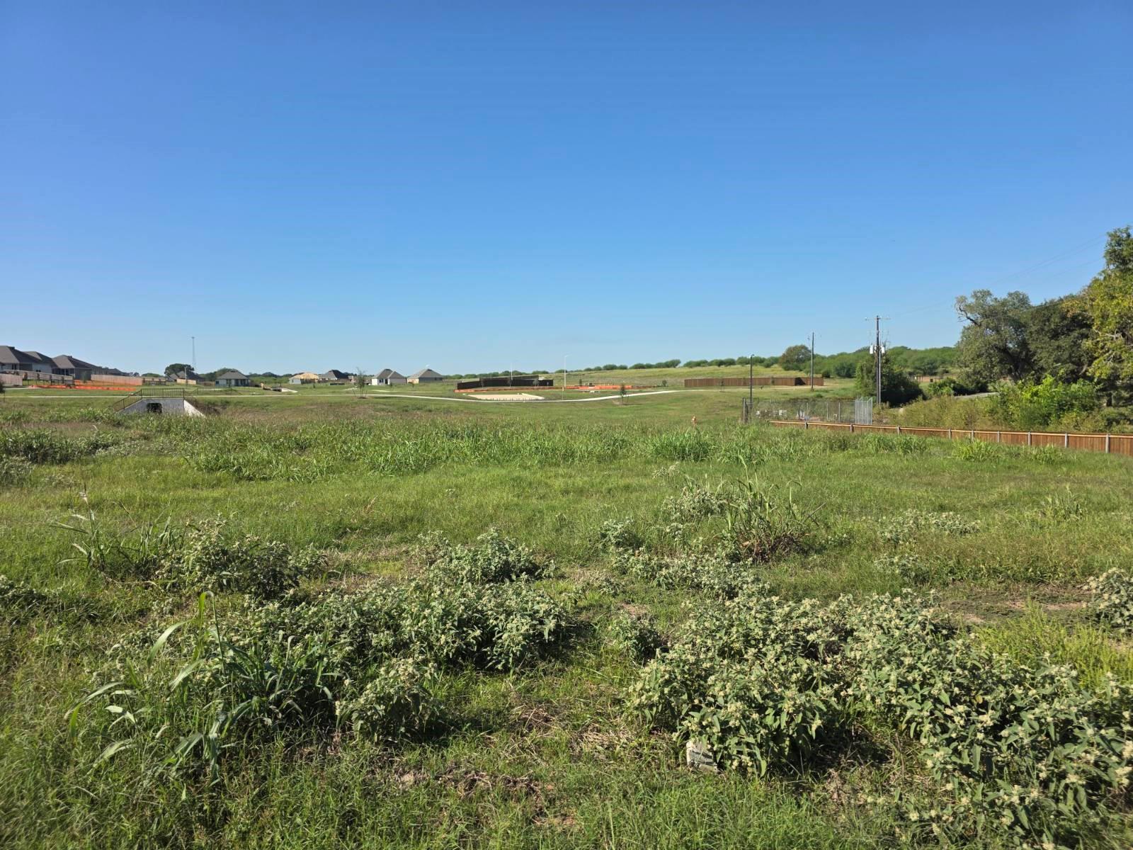 1323 Boehnke Pass, Brenham TX 77833 Property Photo 1