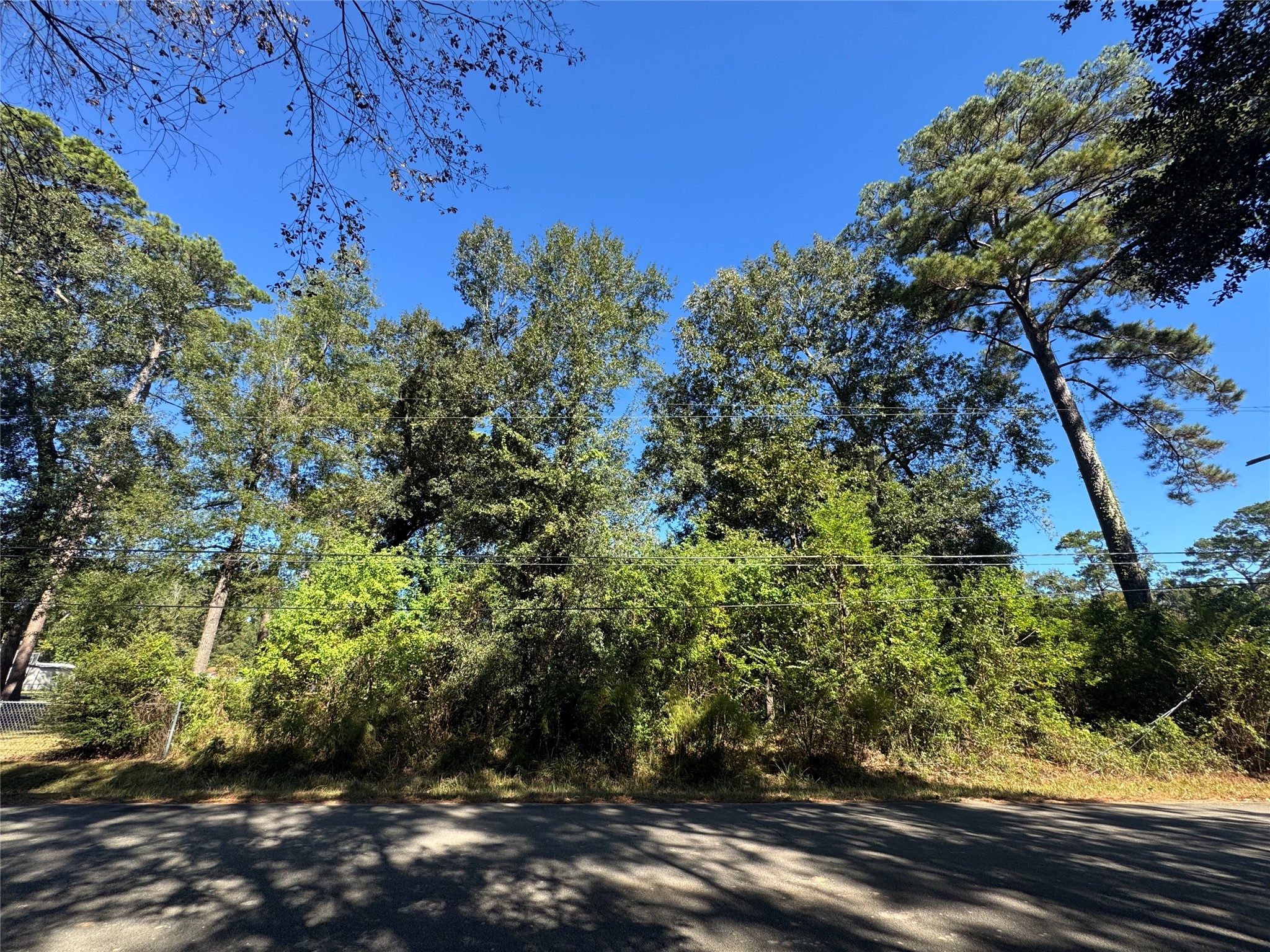 9184 Oak Arbor Divide Property Photo 2