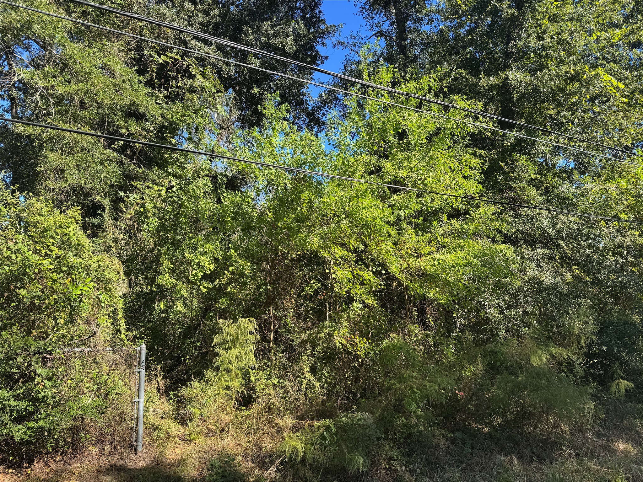 9184 Oak Arbor Divide Property Photo 3