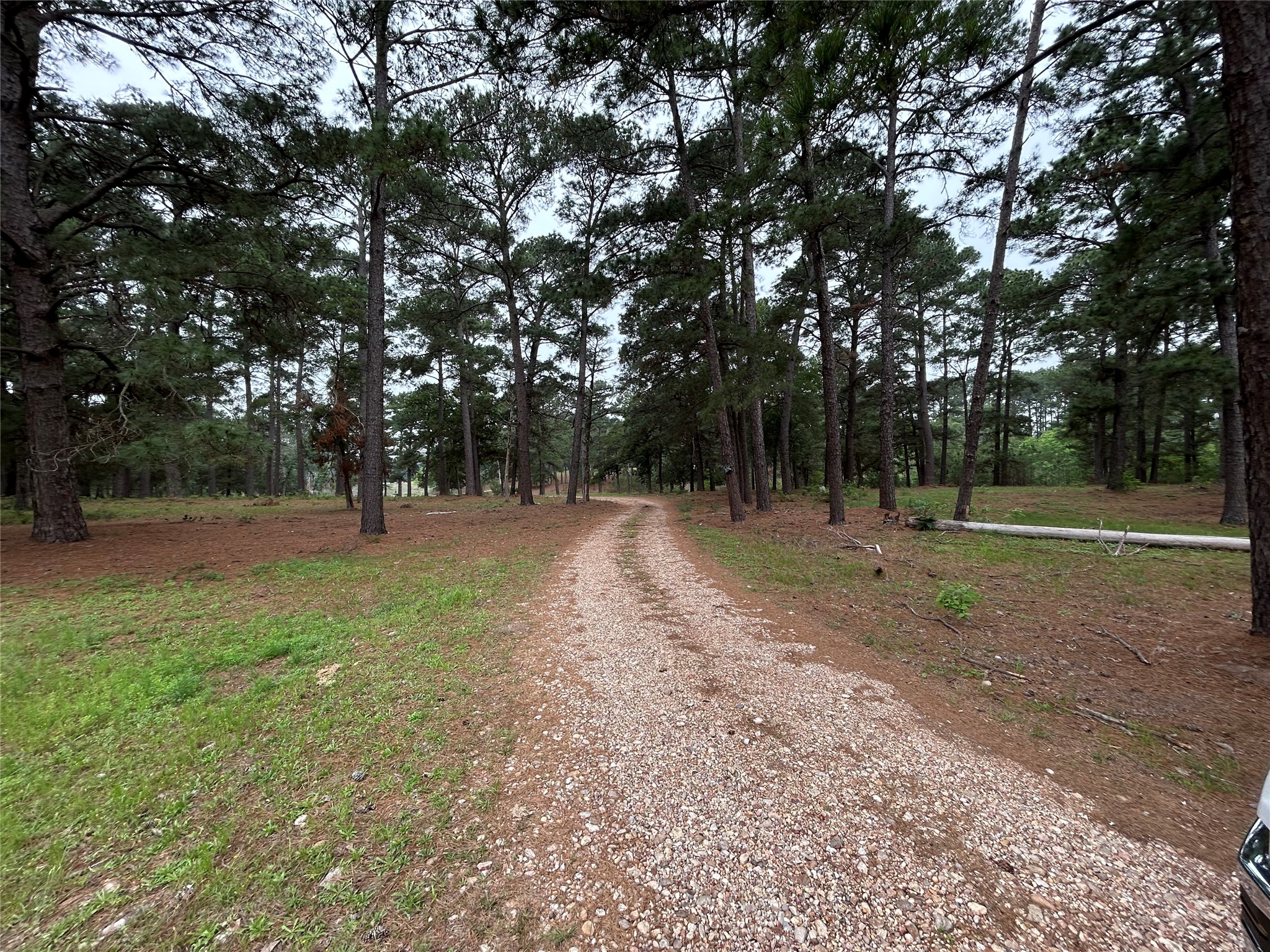 5455 N Us-77 Property Photo 8