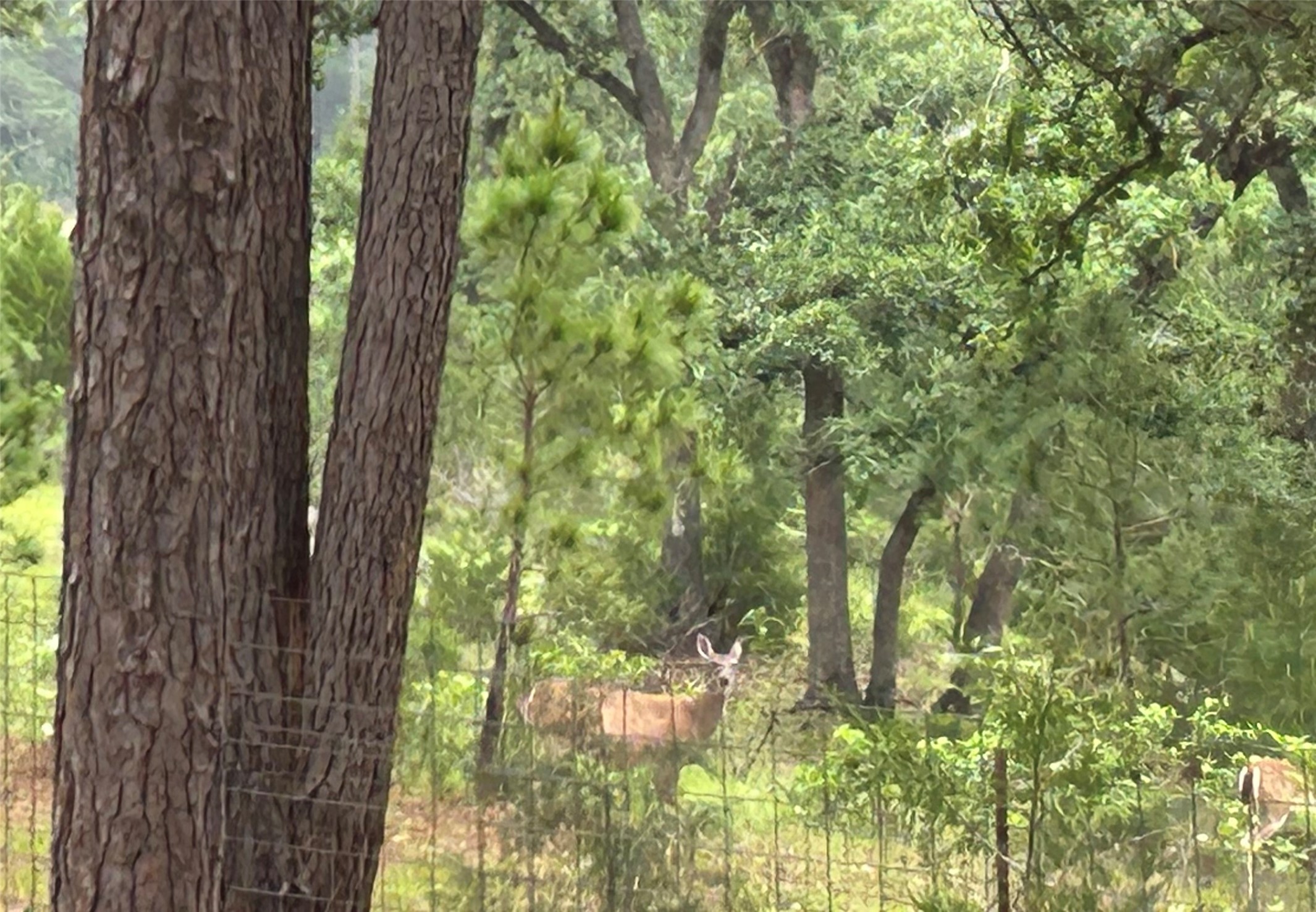 5455 N Us-77 Property Photo 12