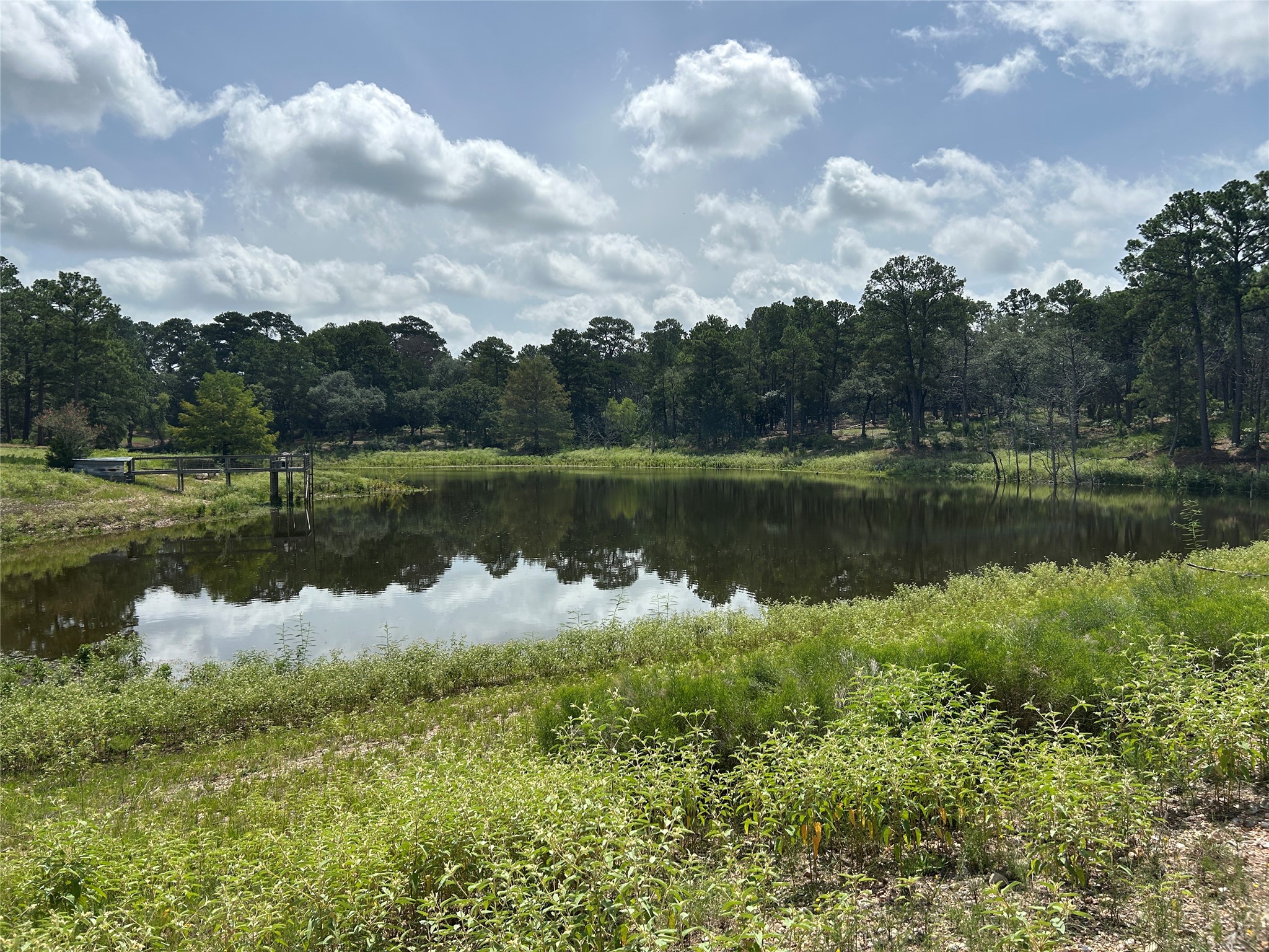 5455 N Us-77 Property Photo 21