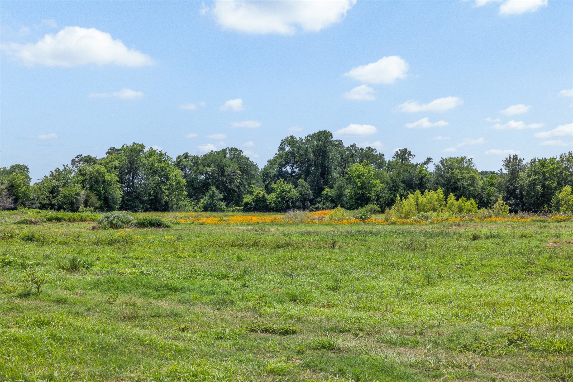 Tbd County Road 268 Property Photo 2
