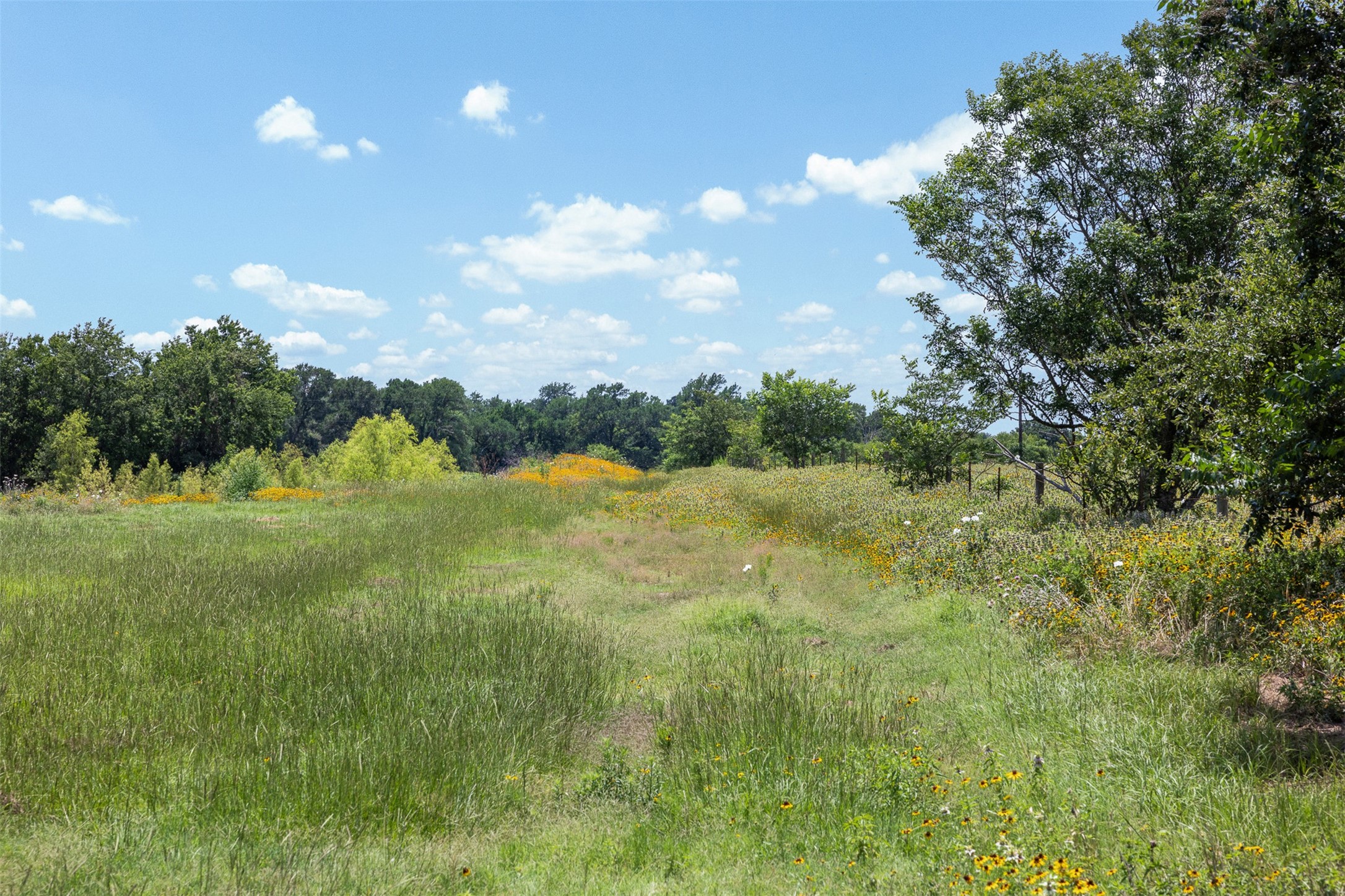 Tbd County Road 268 Property Photo 3