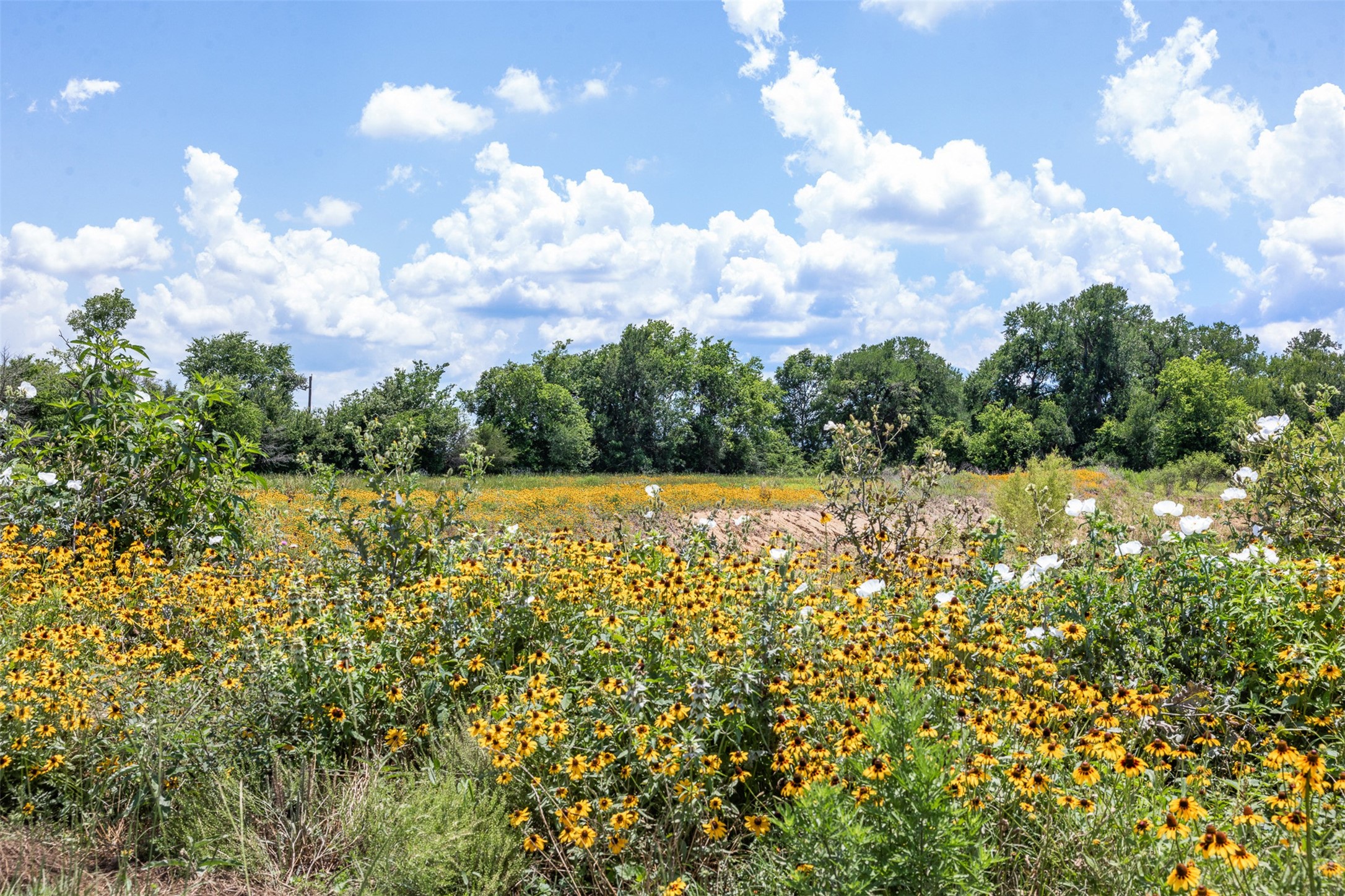 Tbd County Road 268 Property Photo 8