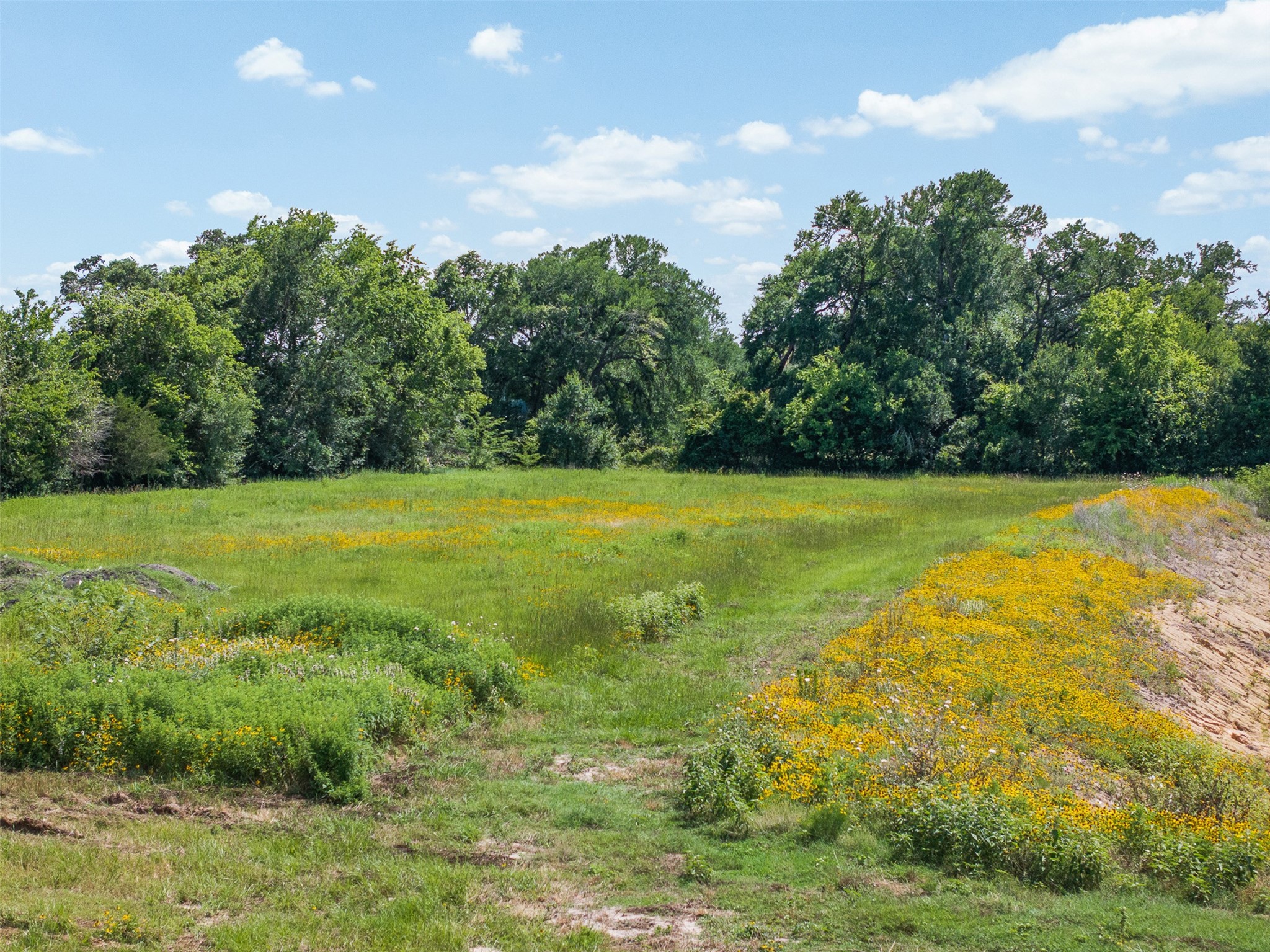 Tbd County Road 268 Property Photo 15
