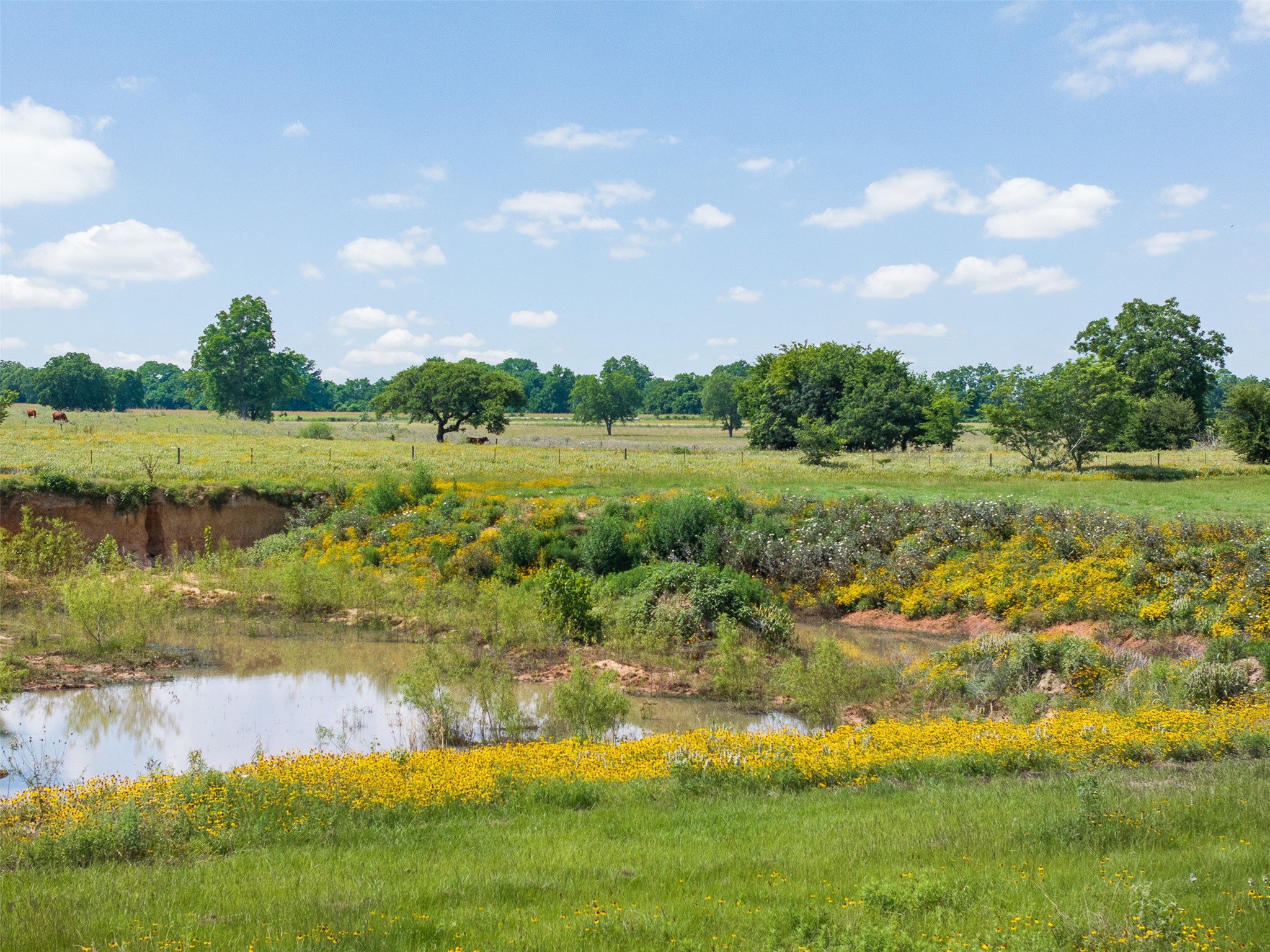 Tbd County Road 268 Property Photo 20