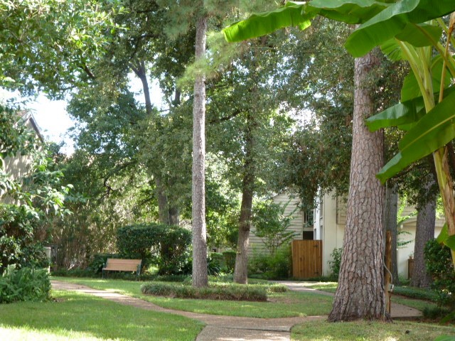 2100 Tanglewilde Street 538 Property Photo 11