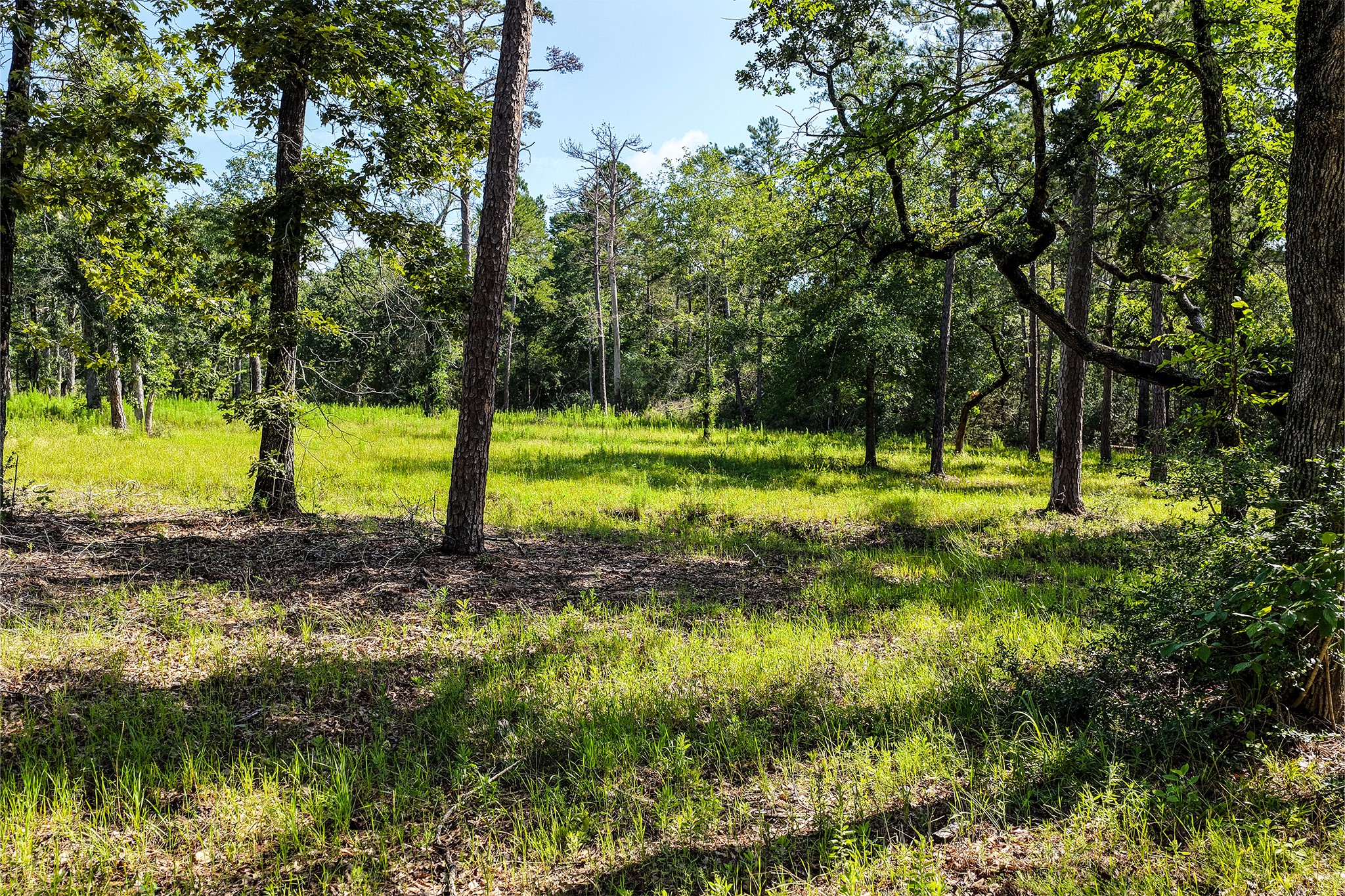 14.5 Acres Westview Drive Property Photo 4