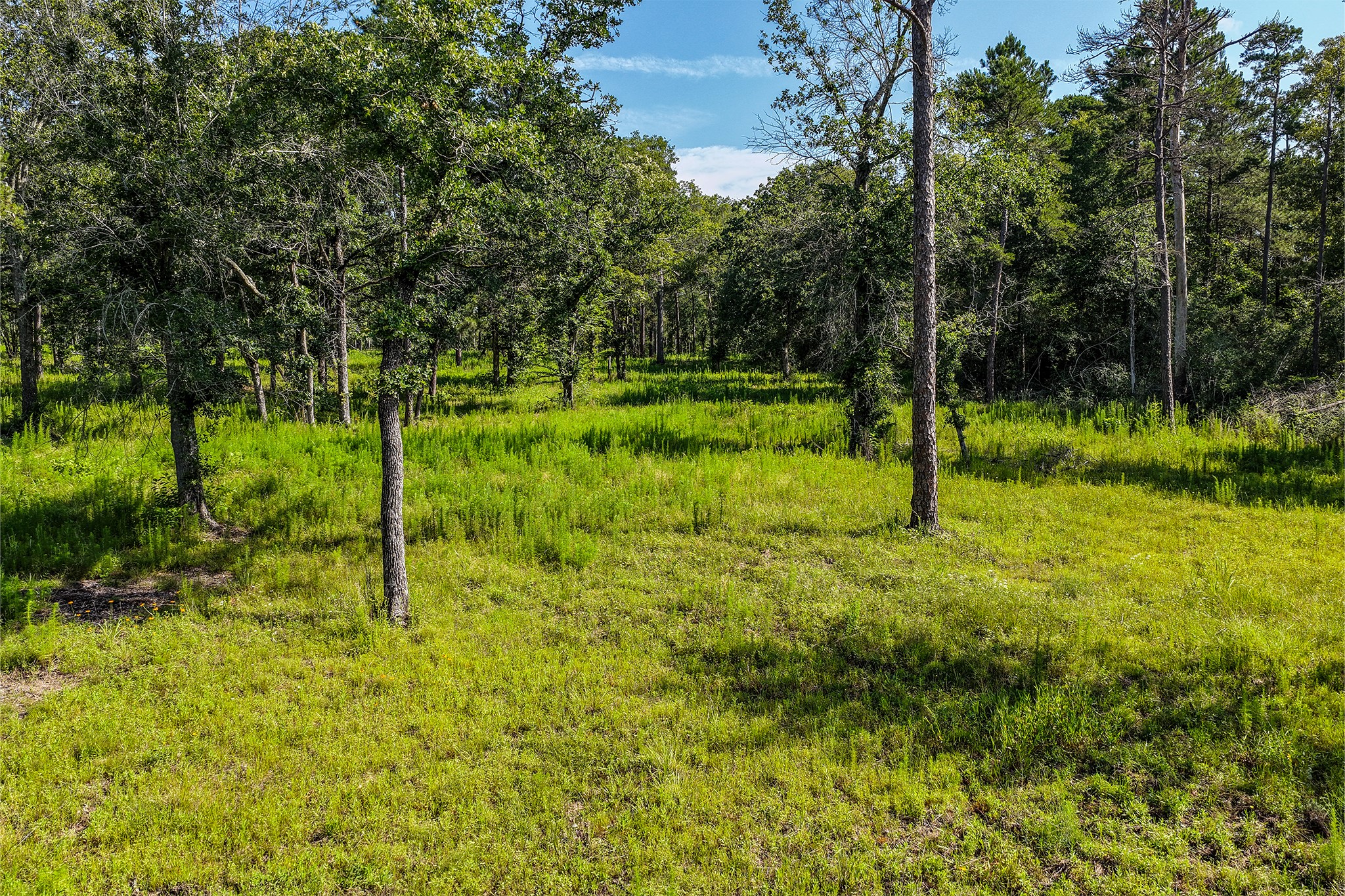 14.5 Acres Westview Drive Property Photo 8
