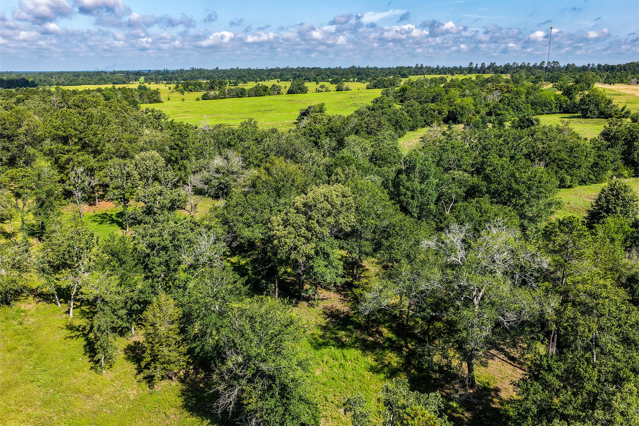 14.5 Acres Westview Drive Property Photo 11