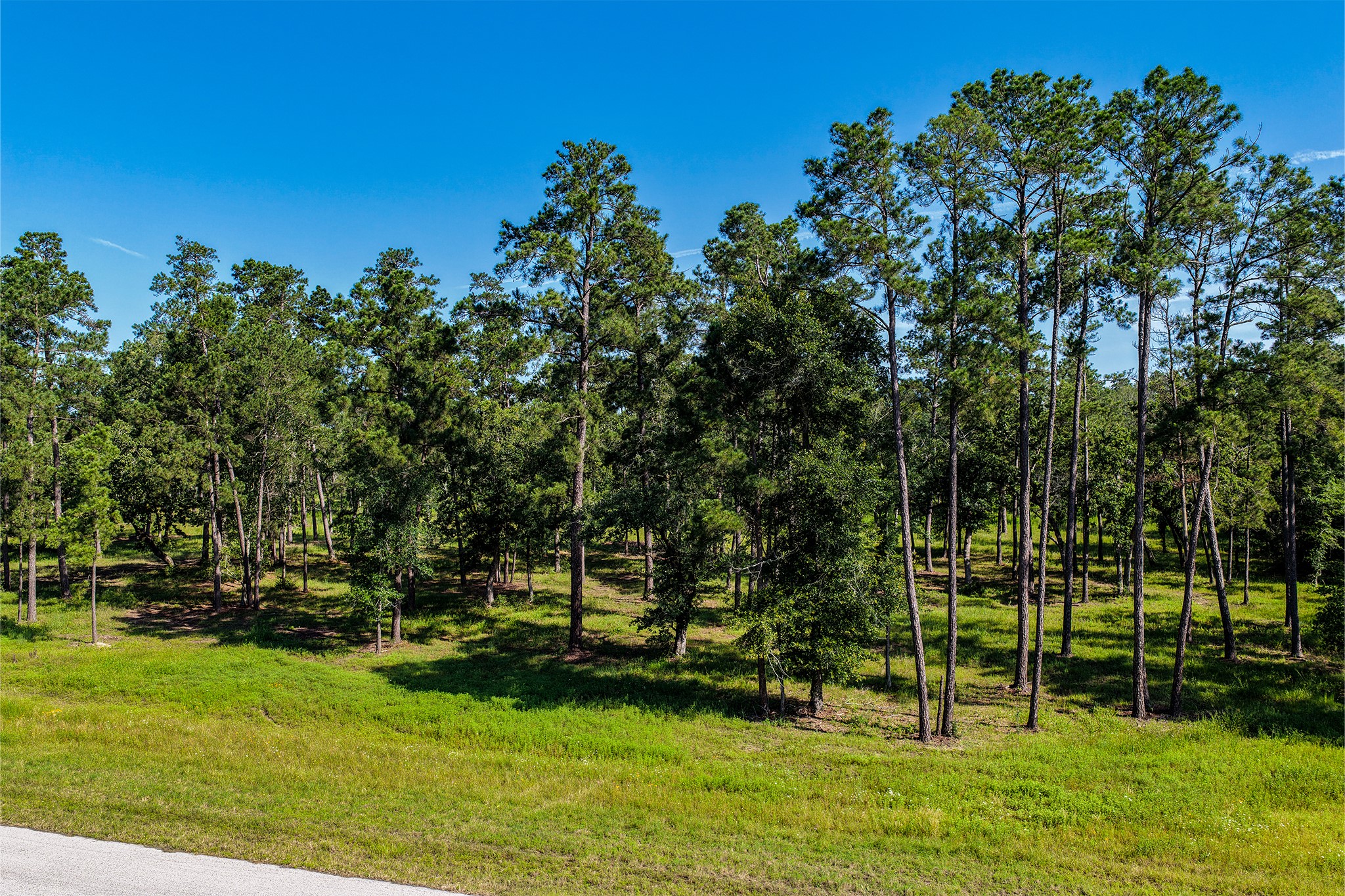 14.5 Acres Westview Drive Property Photo 14