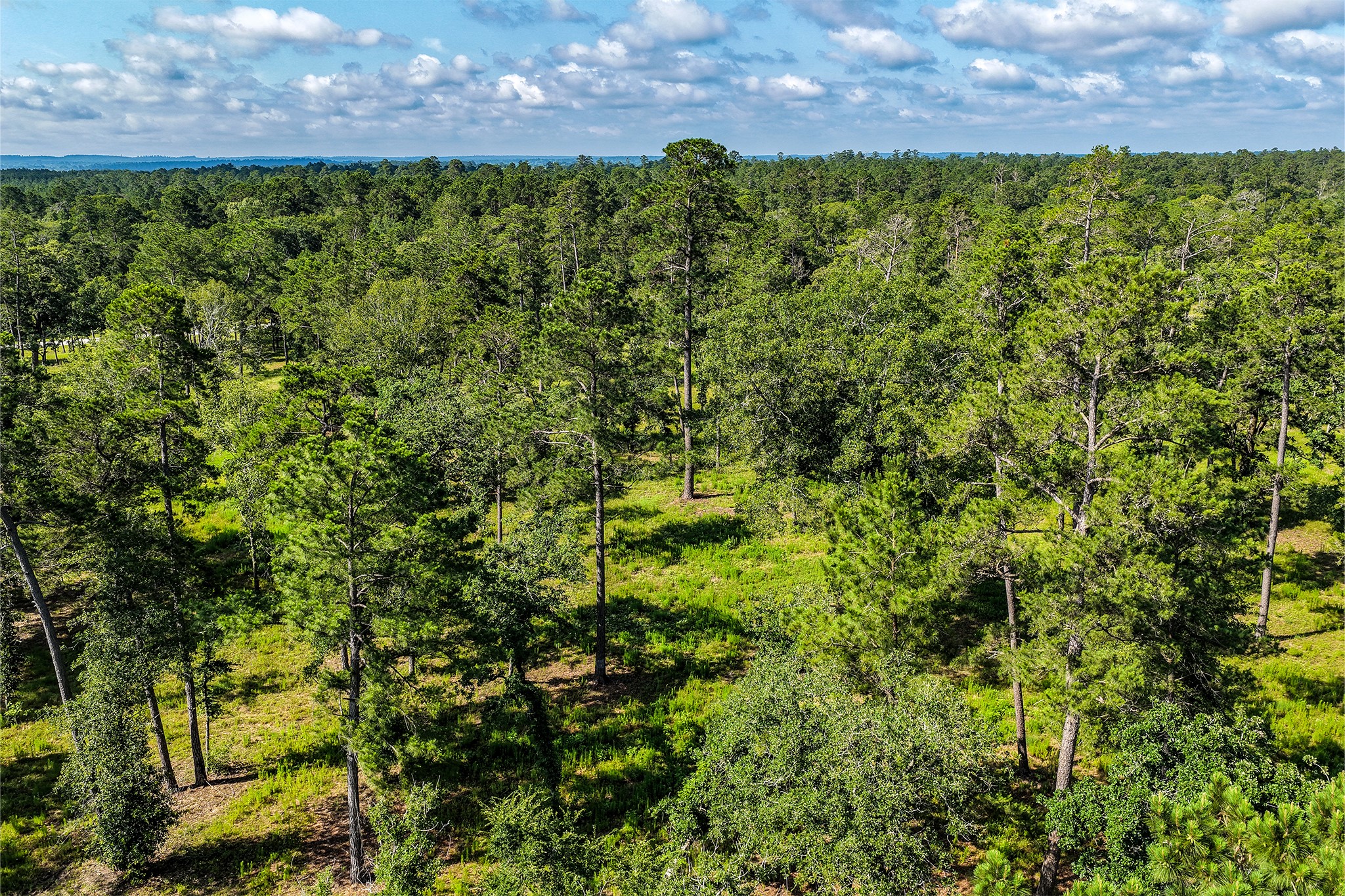 14.5 Acres Westview Drive Property Photo 20