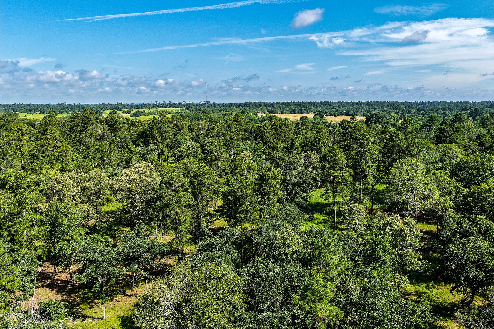 14.5 Acres Westview Drive Property Photo 21