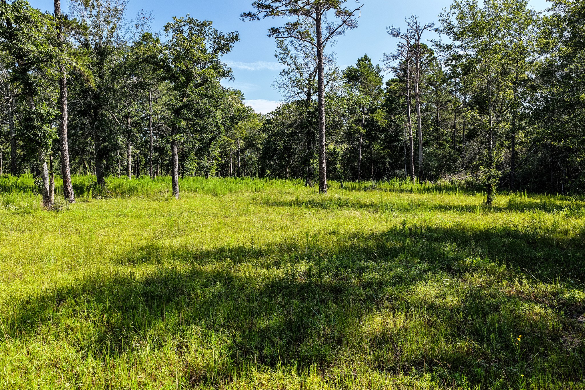 14.5 Acres Westview Drive Property Photo 23