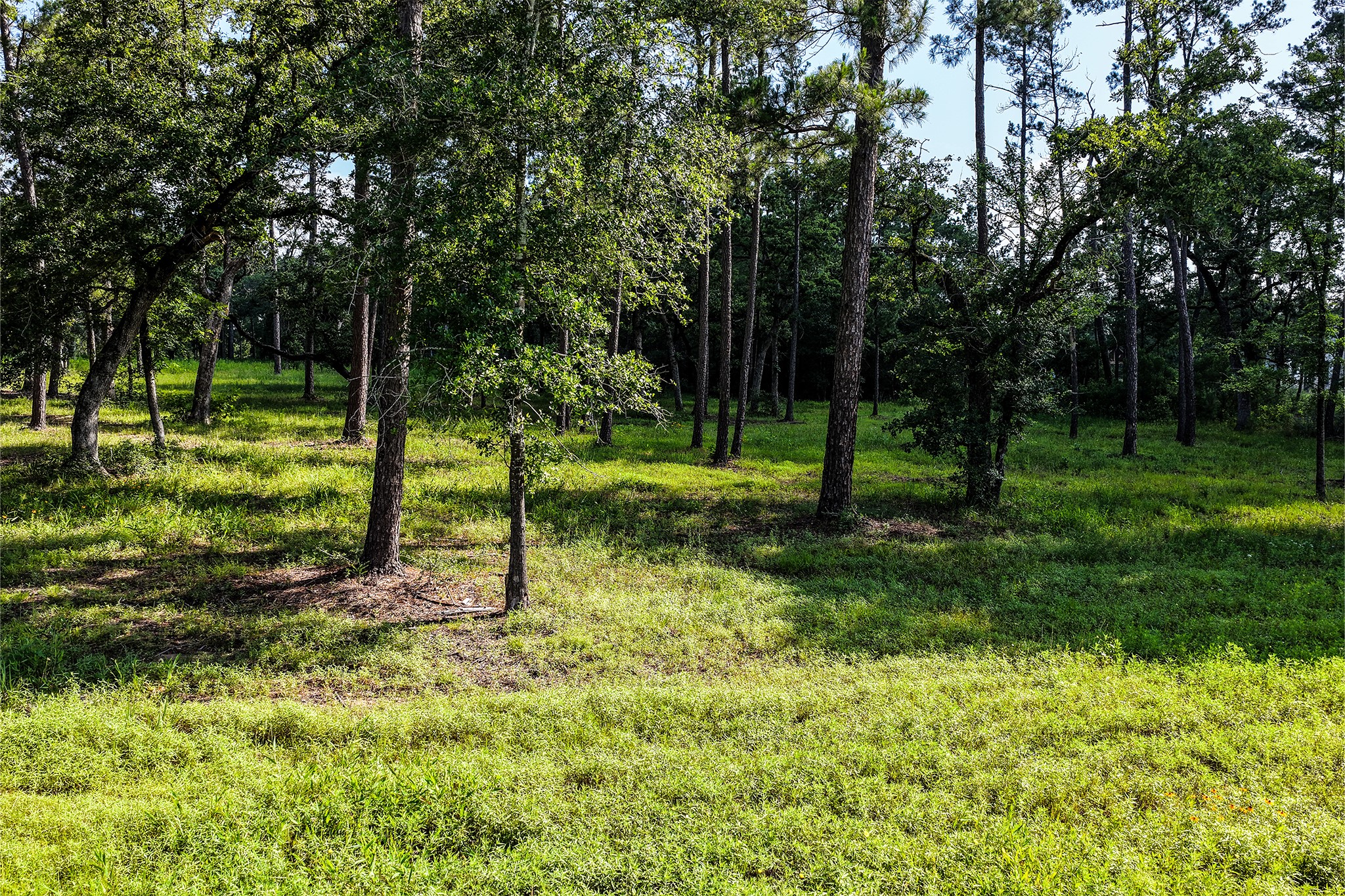 14.5 Acres Westview Drive Property Photo 25