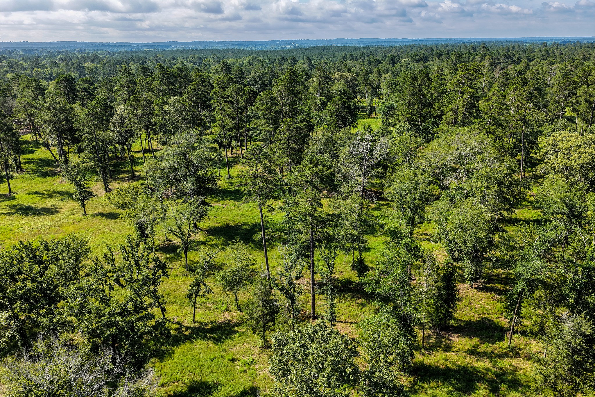 14.5 Acres Westview Drive Property Photo 26