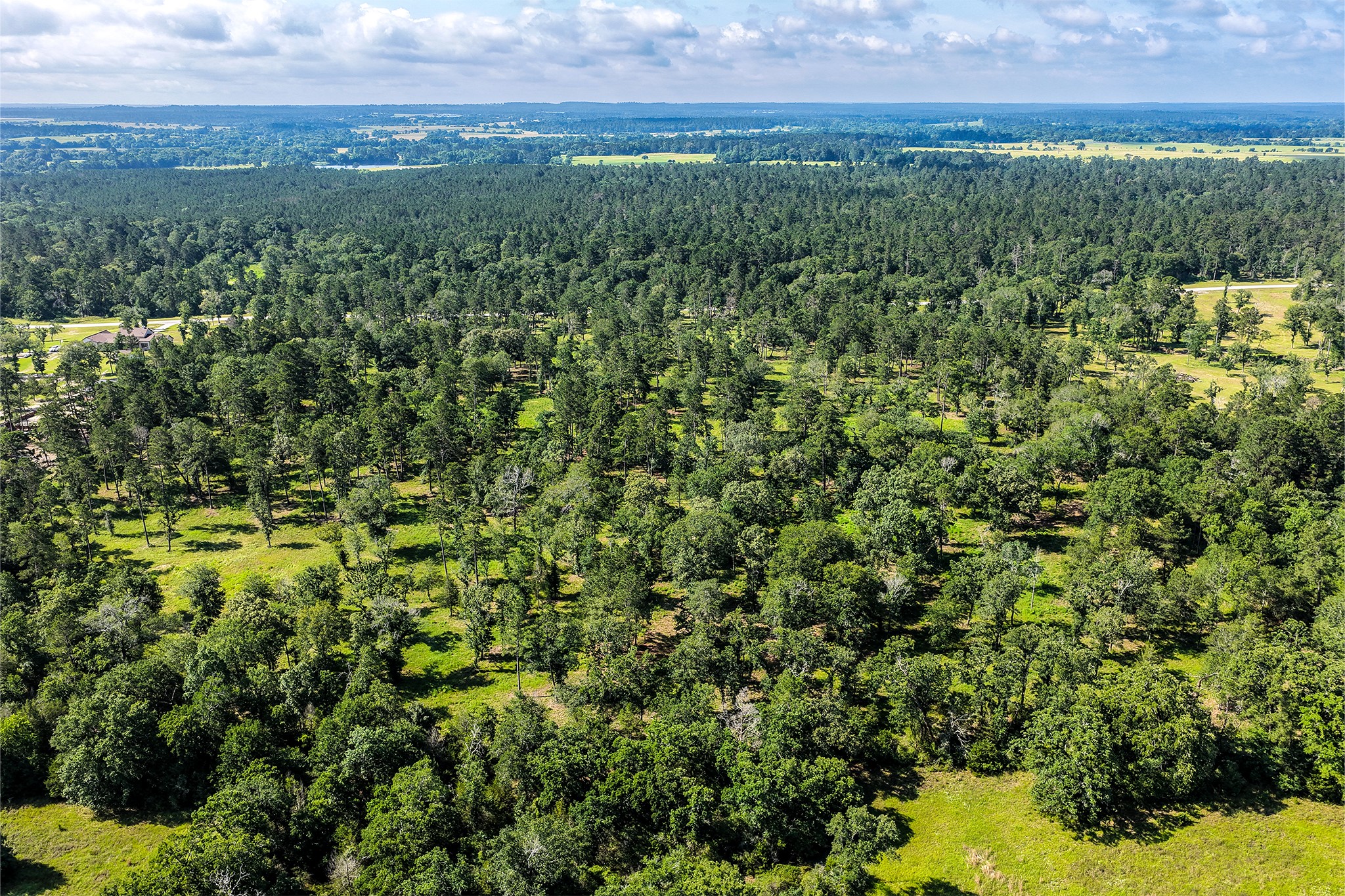 14.5 Acres Westview Drive Property Photo 32