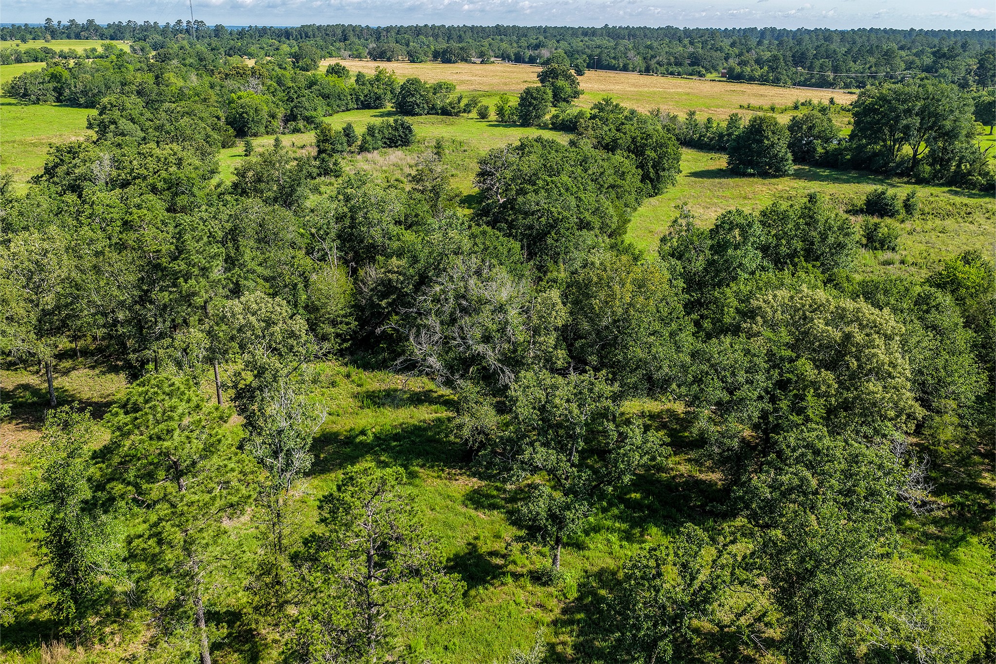 14.5 Acres Westview Drive Property Photo 33