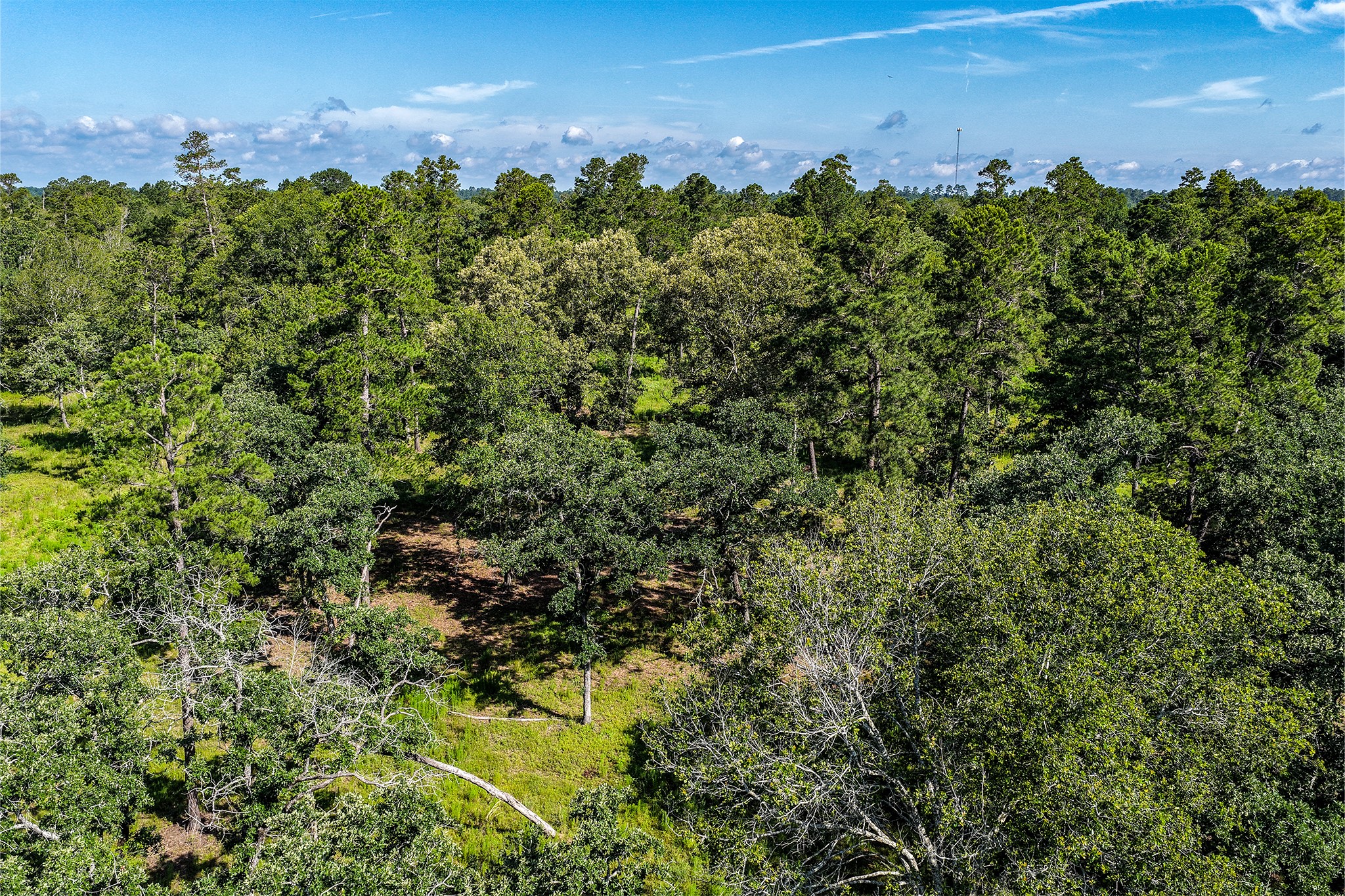 14.5 Acres Westview Drive Property Photo 37