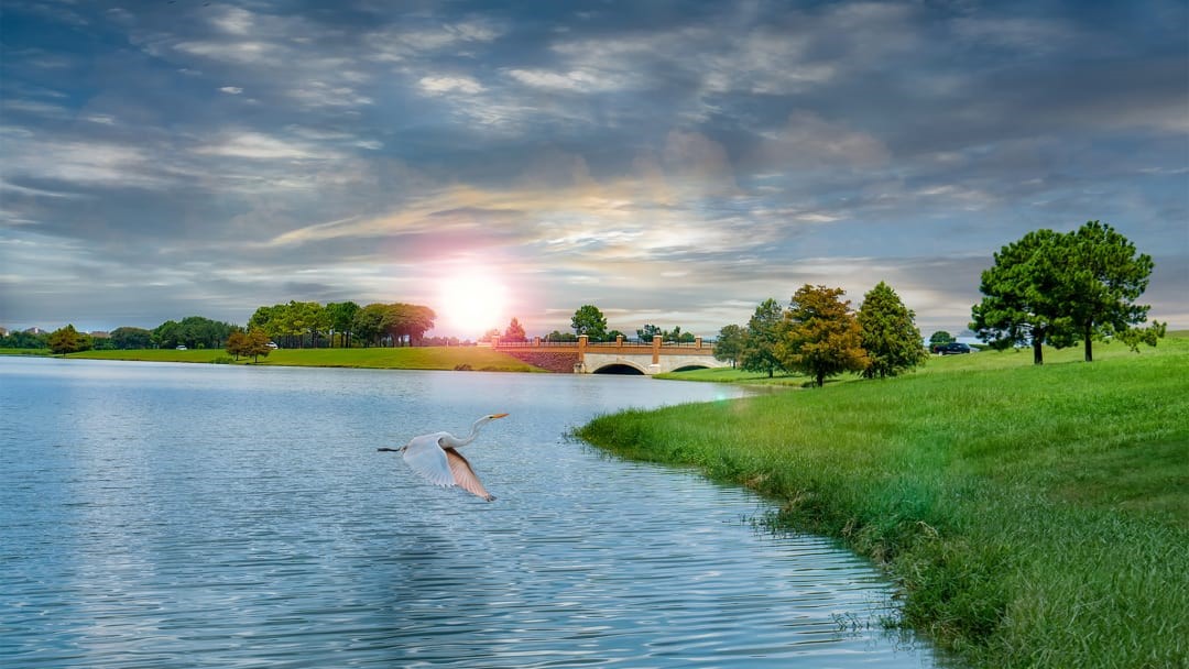 10726 Yellow Wild Indigo Lane Property Photo 12