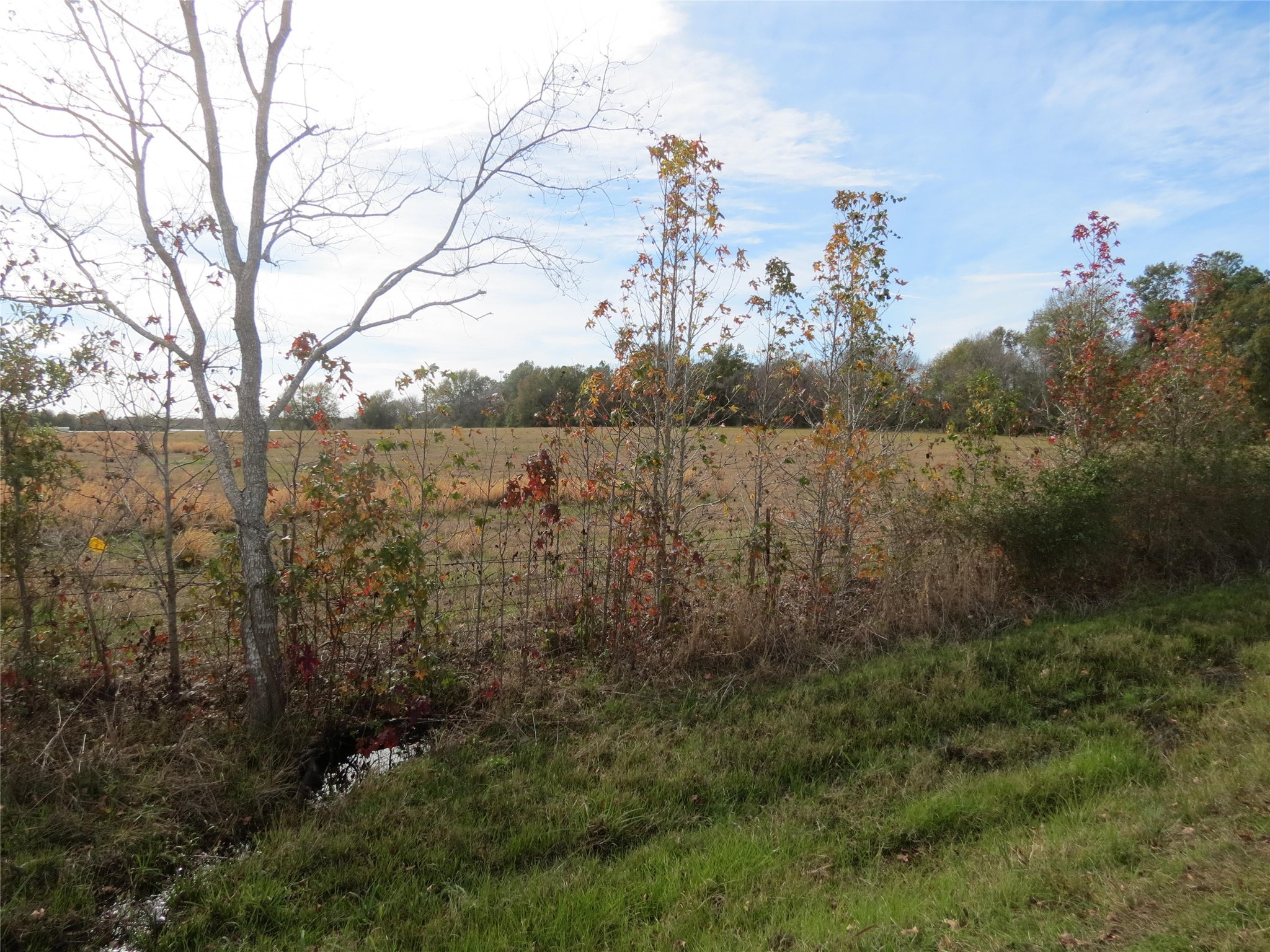14010 Longstreet Road 11 Property Photo 4