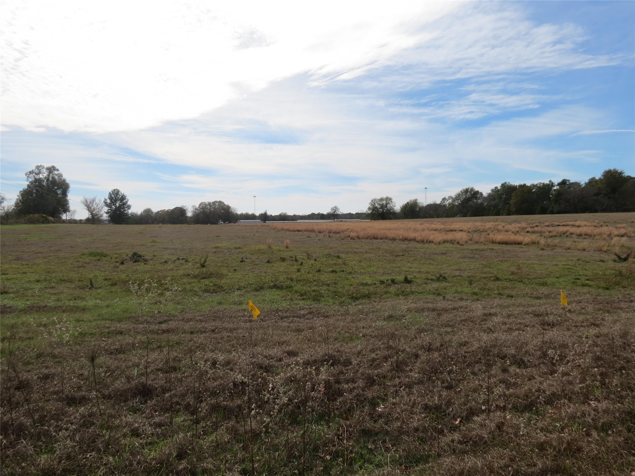 14010 Longstreet Road 11 Property Photo 8