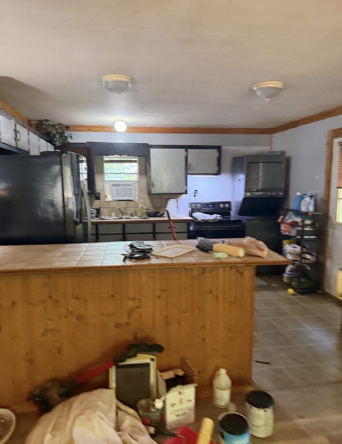 106 Hickory Lane Property Photo 4