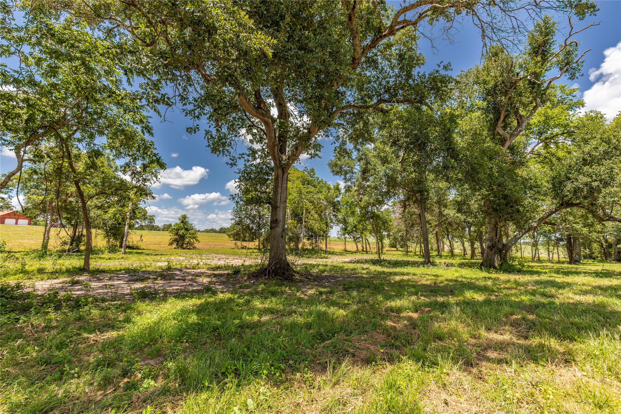 Tbd Lynn Road Property Photo 2