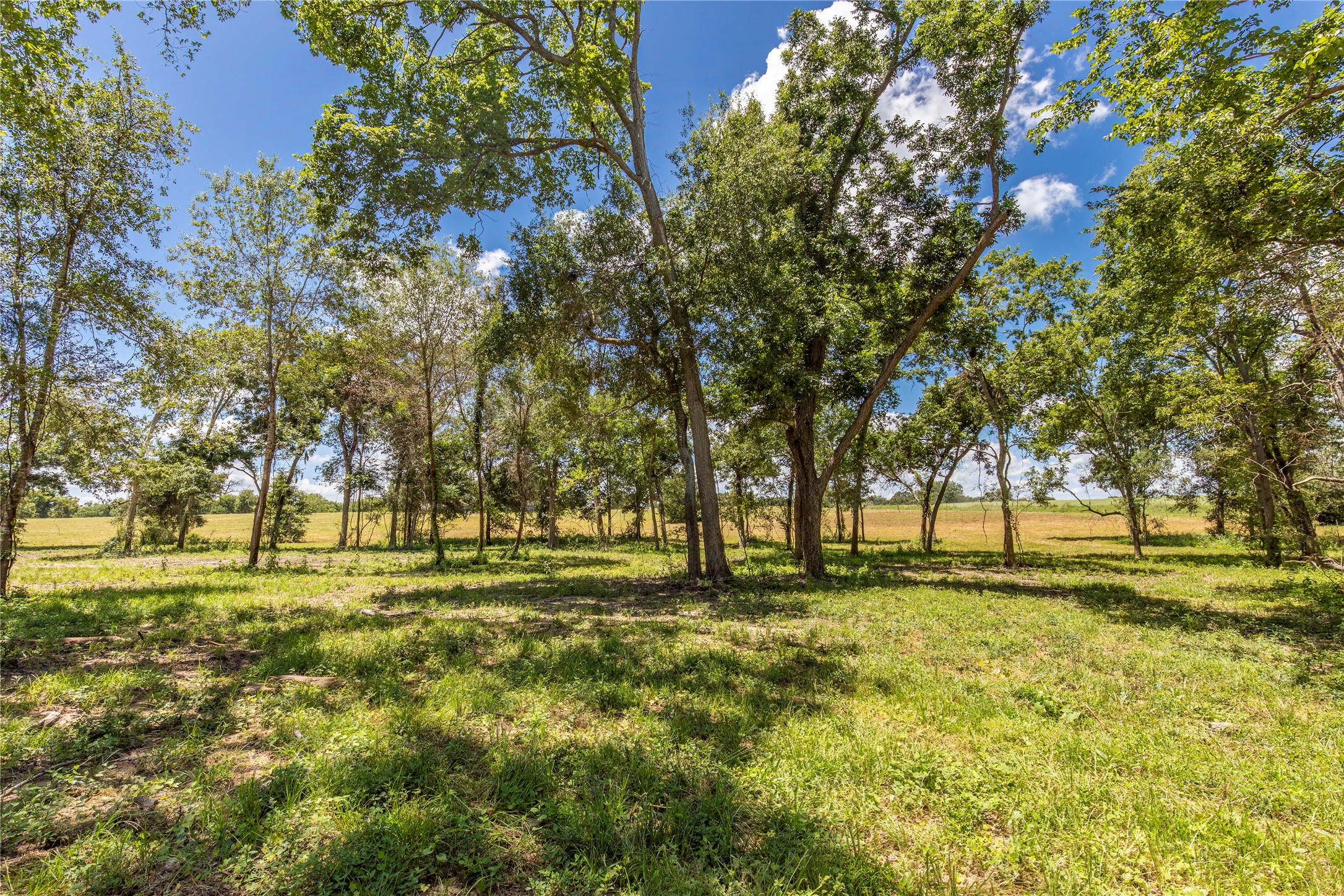 Tbd Lynn Road Property Photo 3