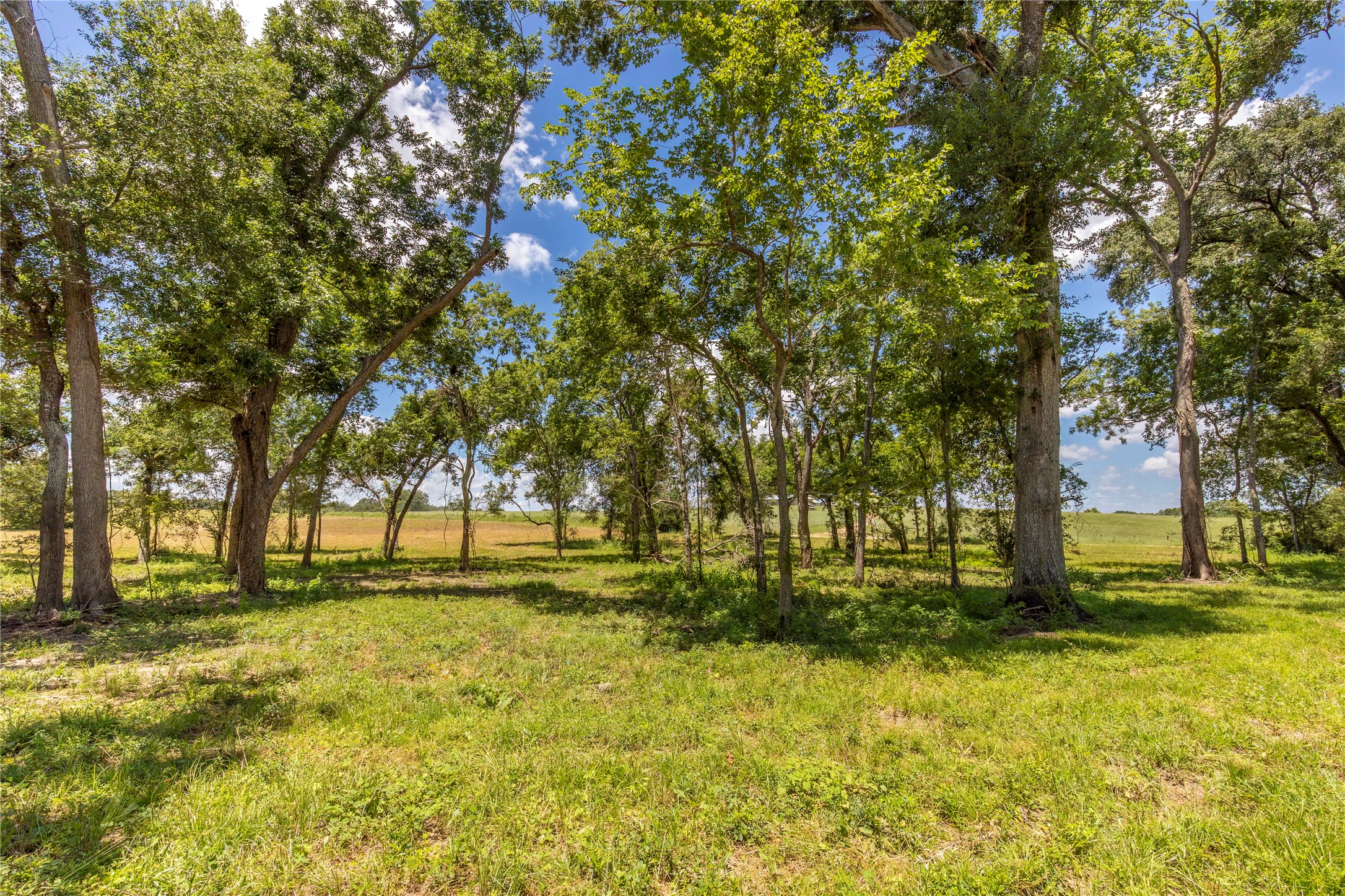Tbd Lynn Road Property Photo 4