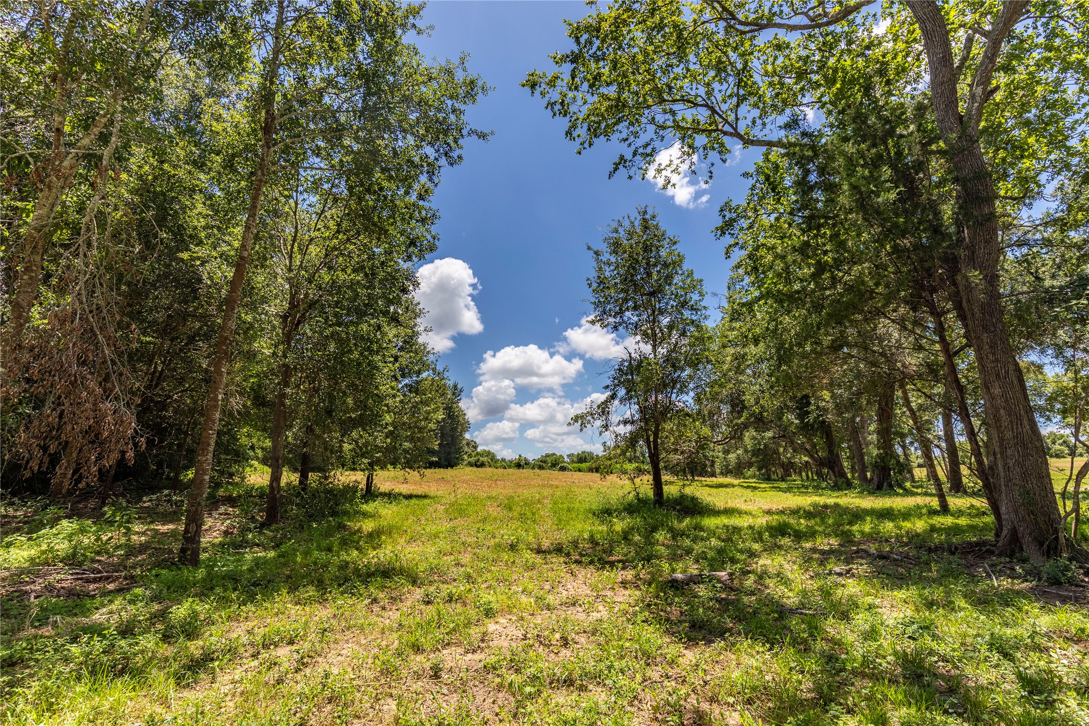 Tbd Lynn Road Property Photo 5