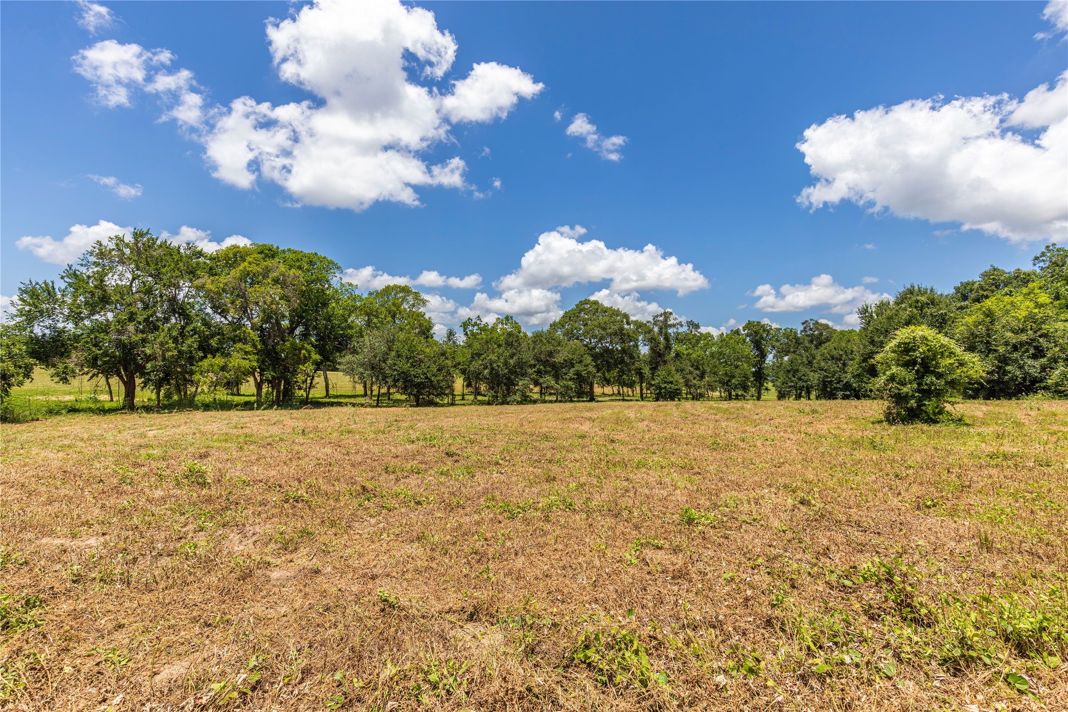 Tbd Lynn Road Property Photo 6