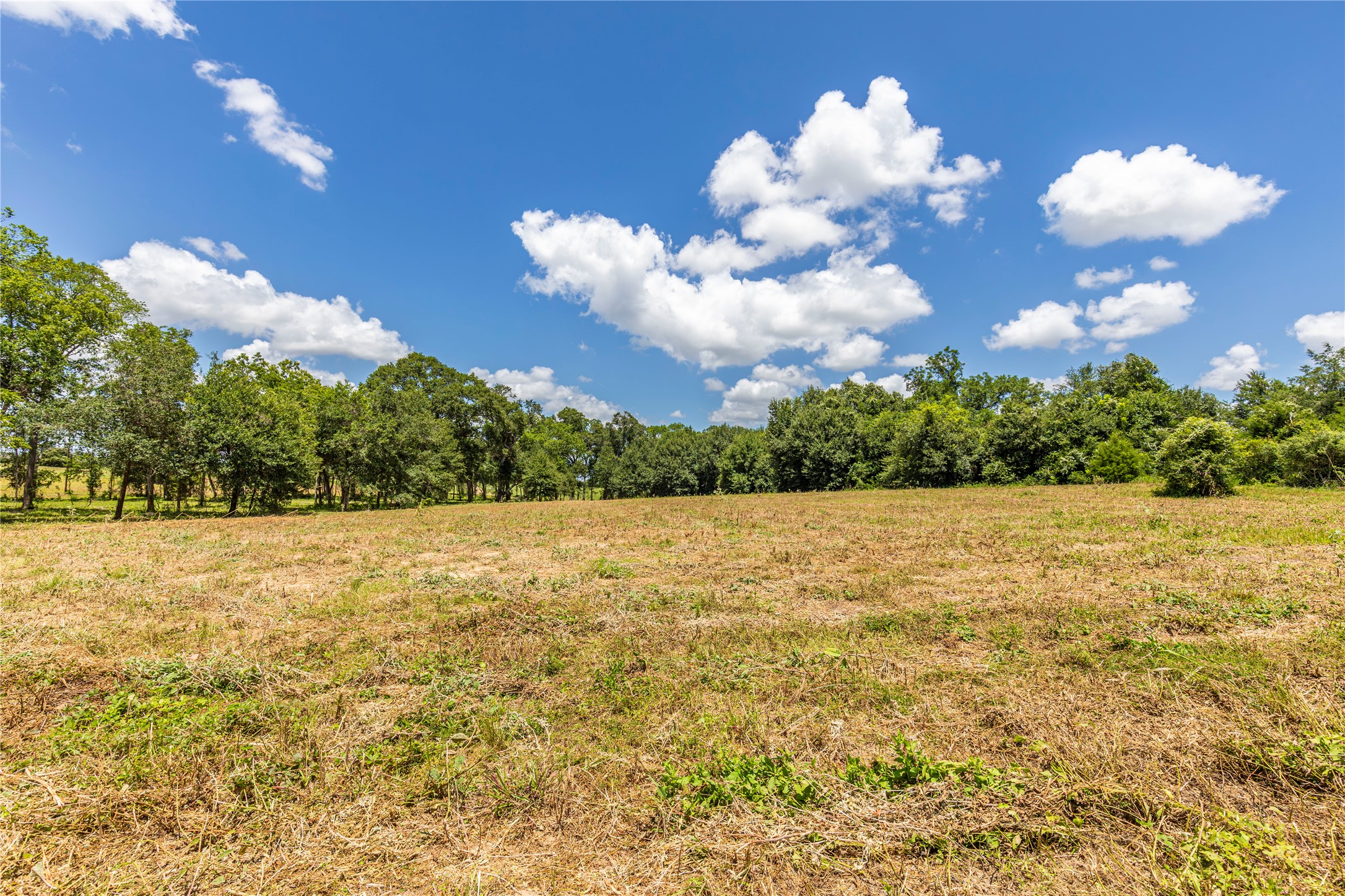 Tbd Lynn Road Property Photo 7