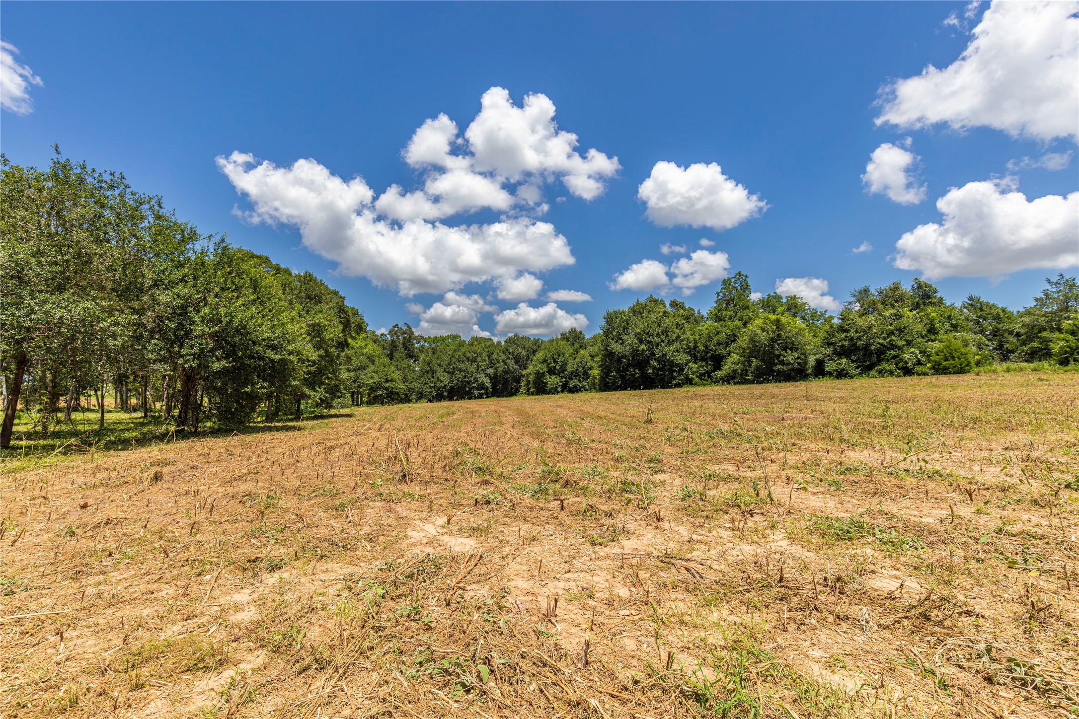 Tbd Lynn Road Property Photo 8
