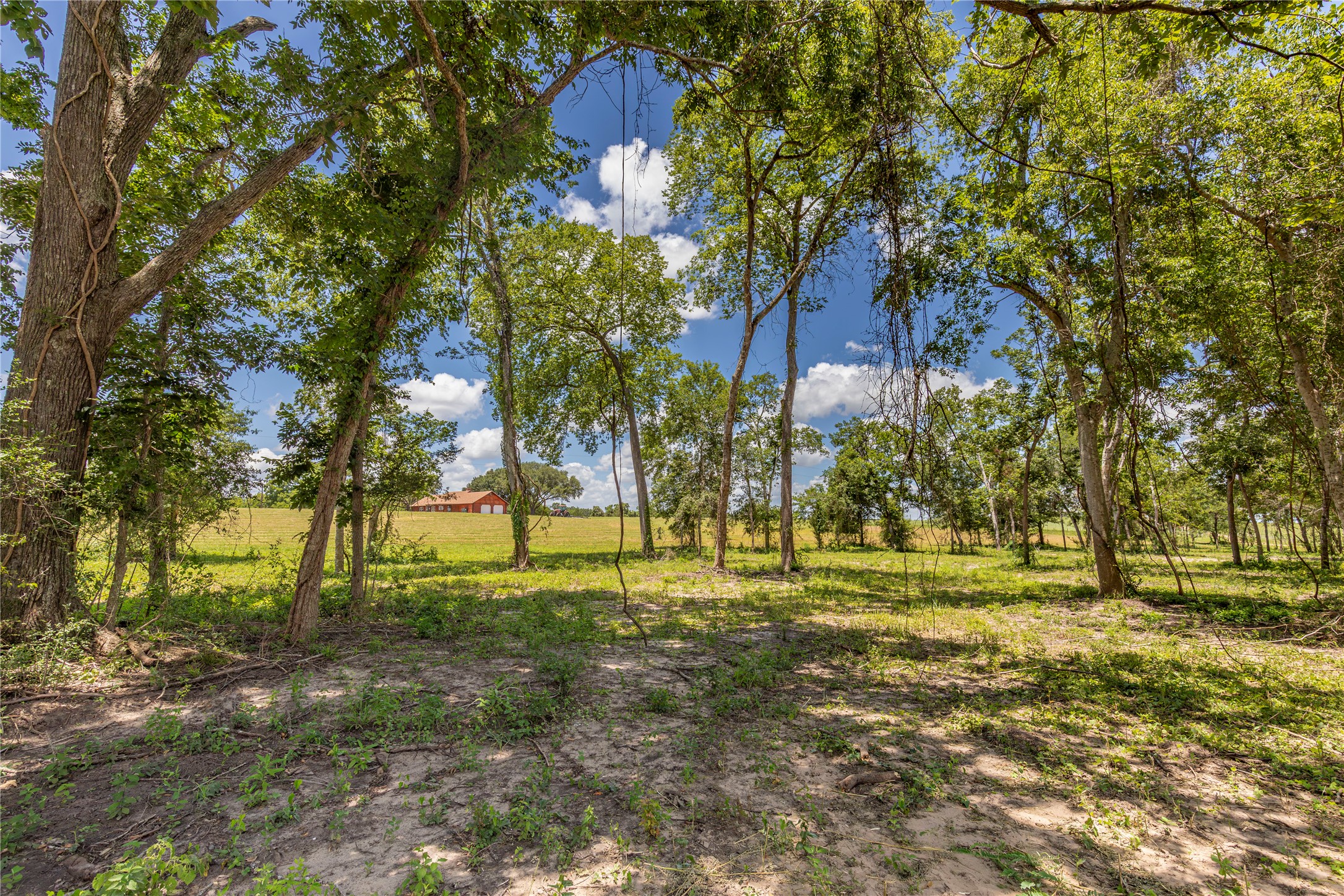 Tbd Lynn Road Property Photo 9