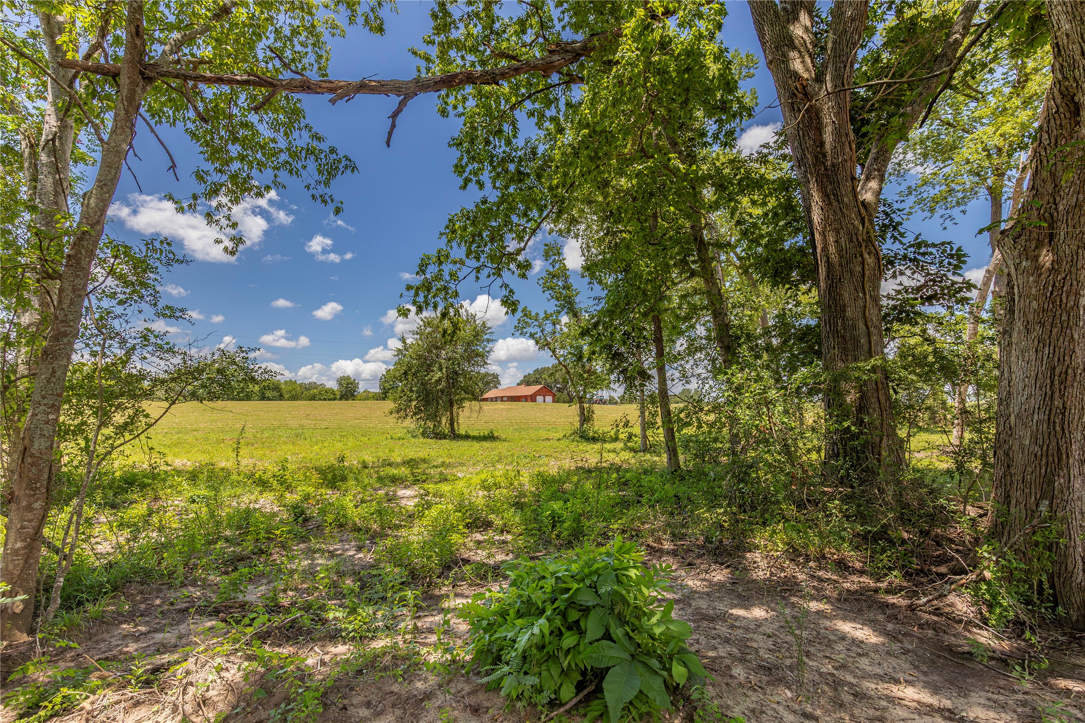 Tbd Lynn Road Property Photo 10