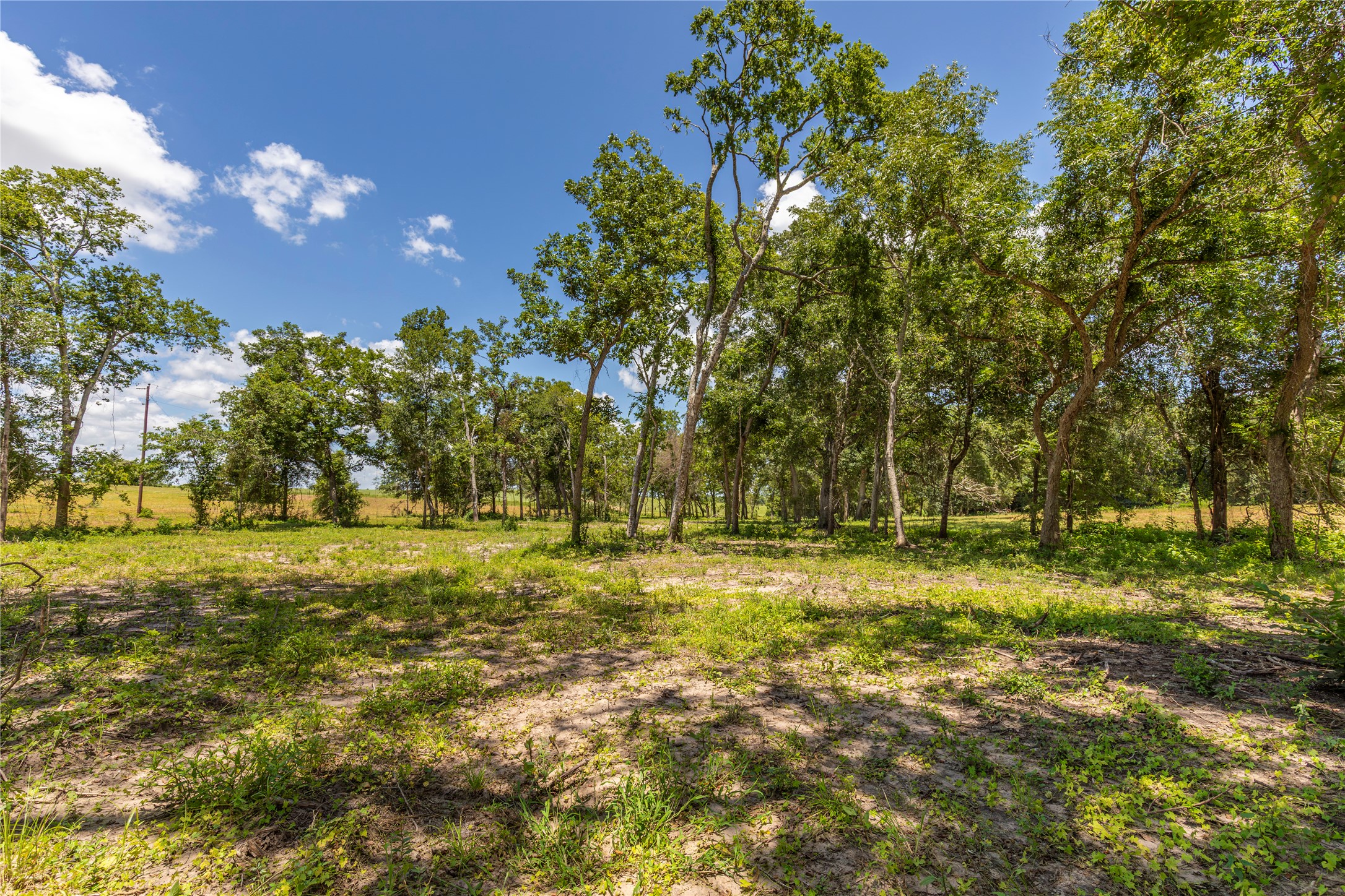 Tbd Lynn Road Property Photo 12