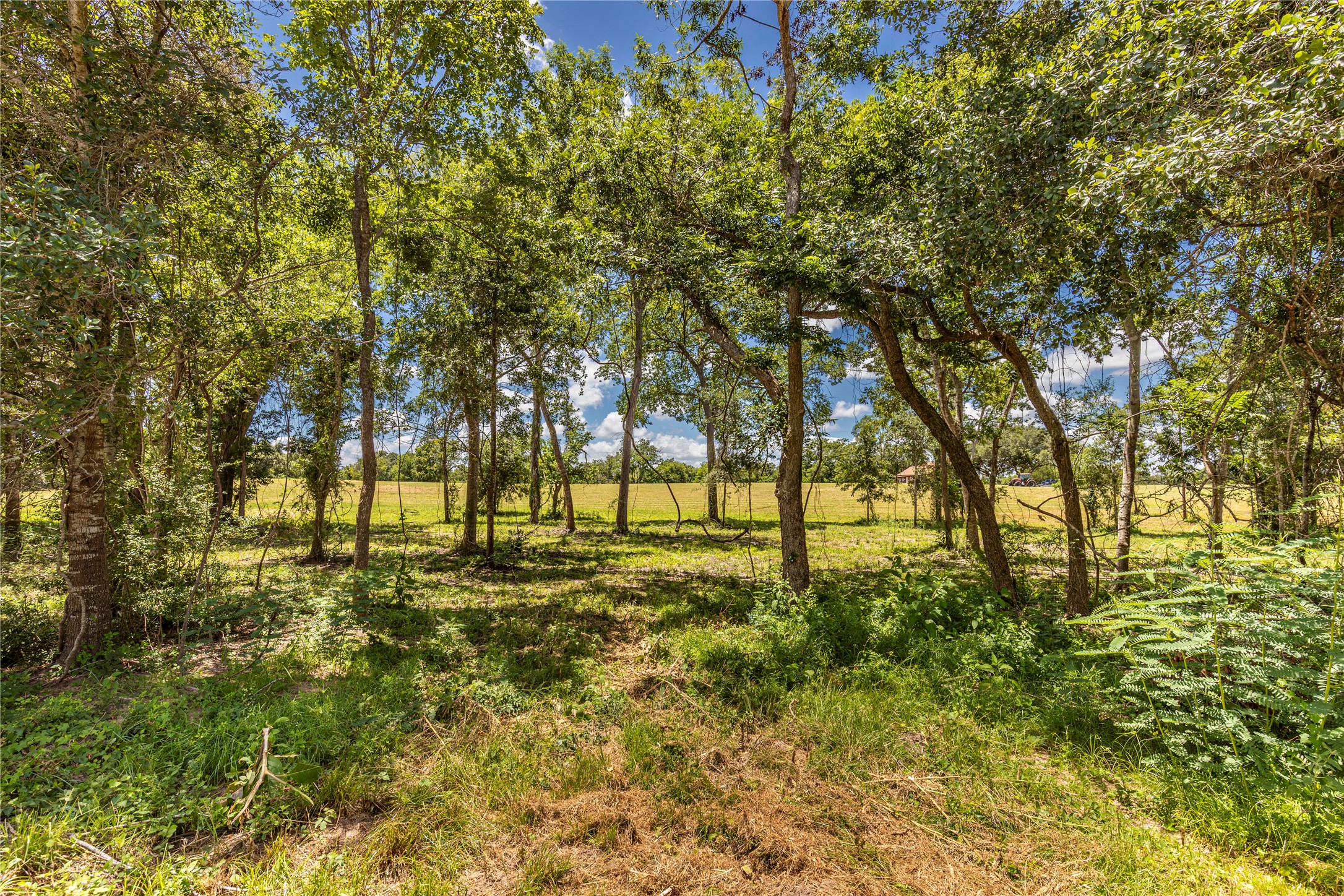 Tbd Lynn Road Property Photo 13