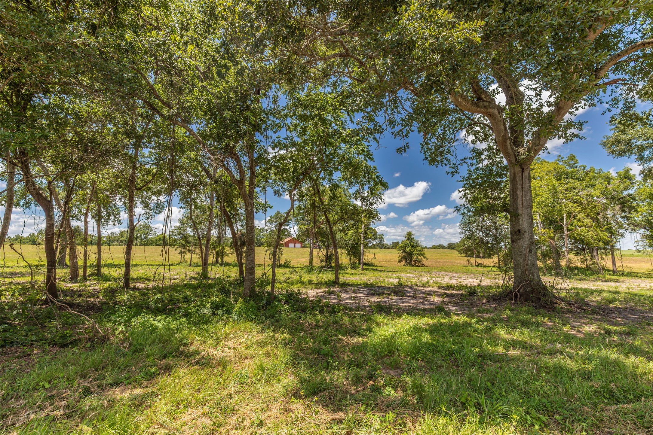 Tbd Lynn Road Property Photo 14
