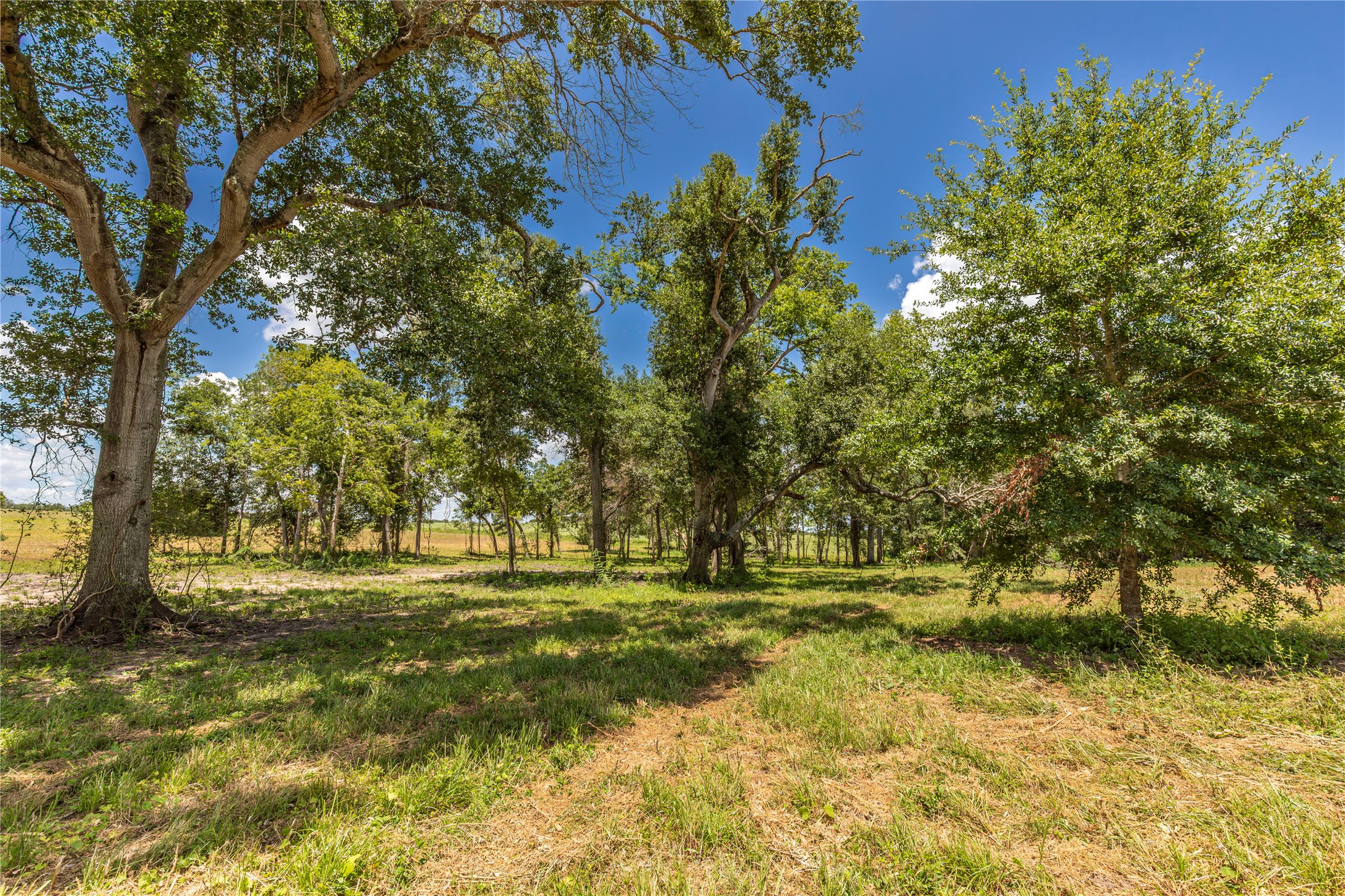 Tbd Lynn Road Property Photo 15