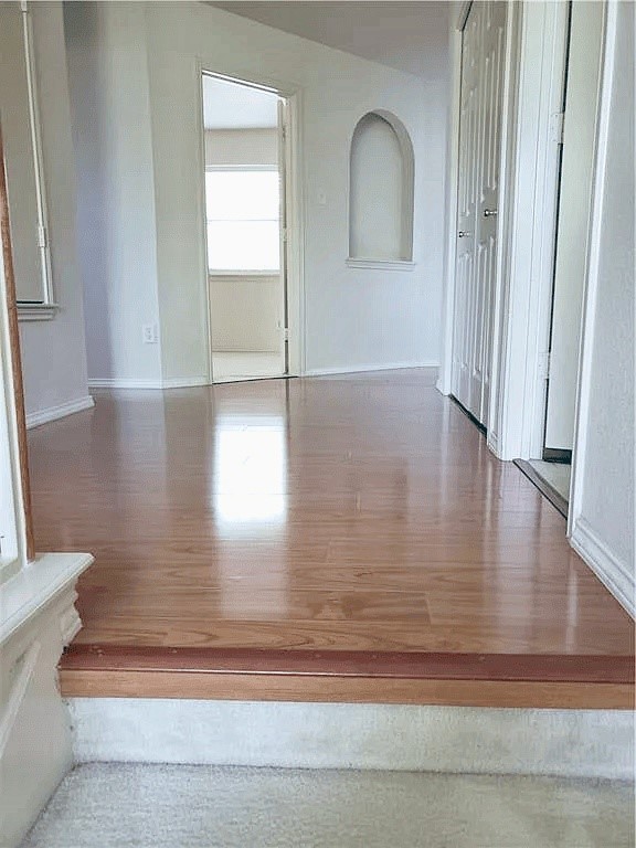 15125 Donna Jane Loop Property Photo 24