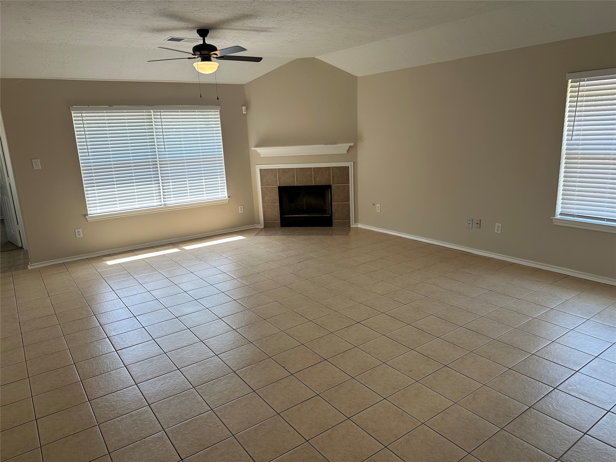 7427 Telico Junction Lane Property Photo 2